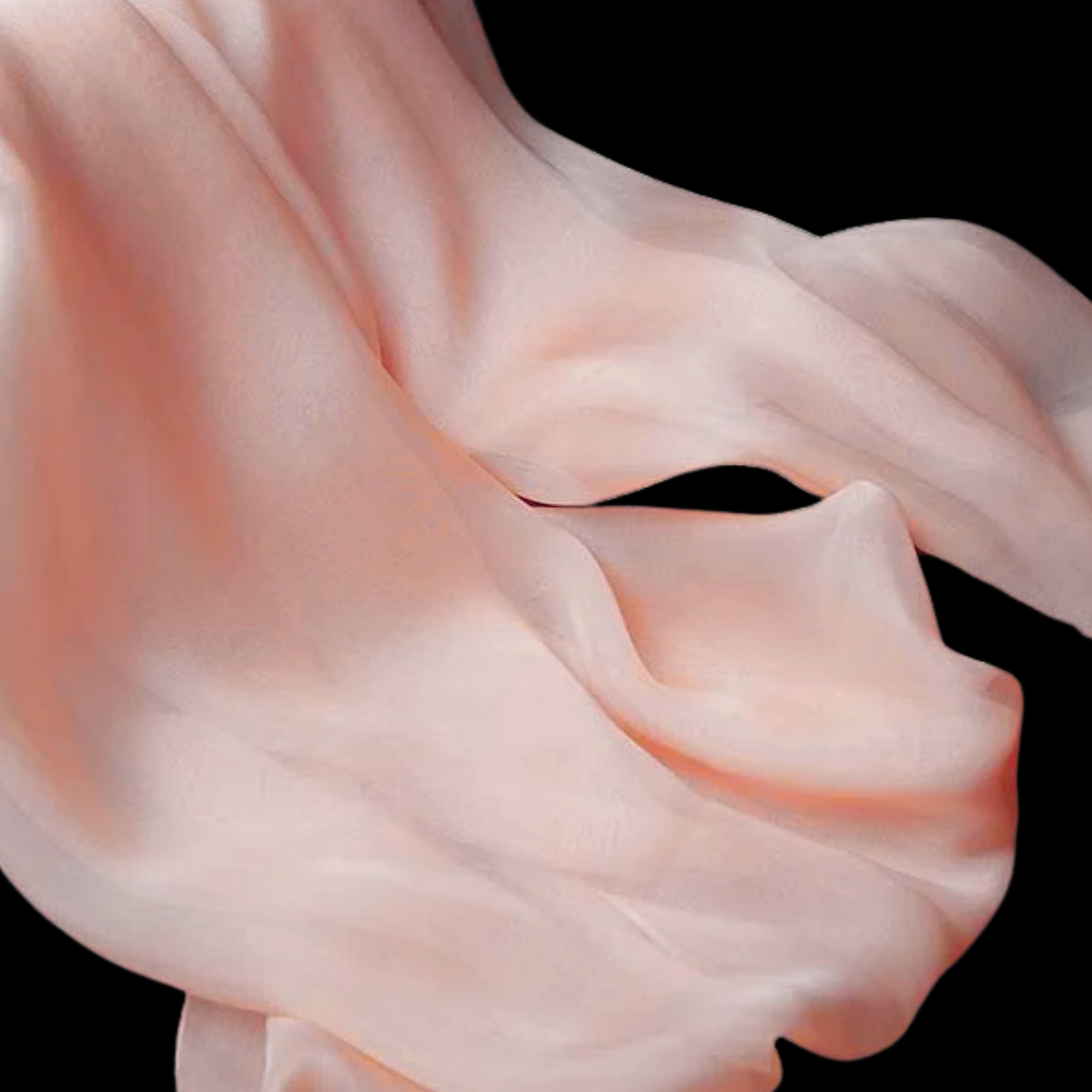 A N I J U L I A .png