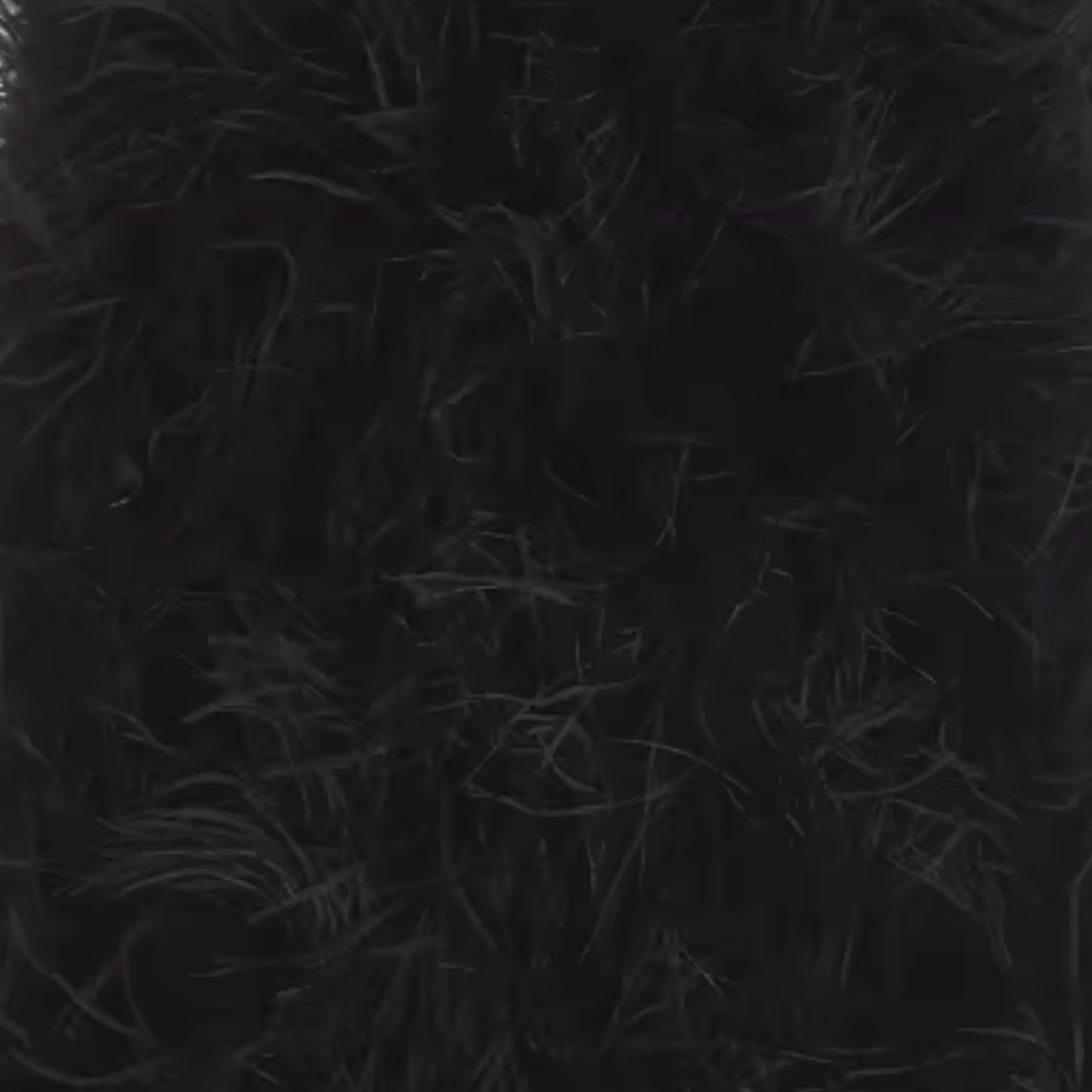A T Y.png