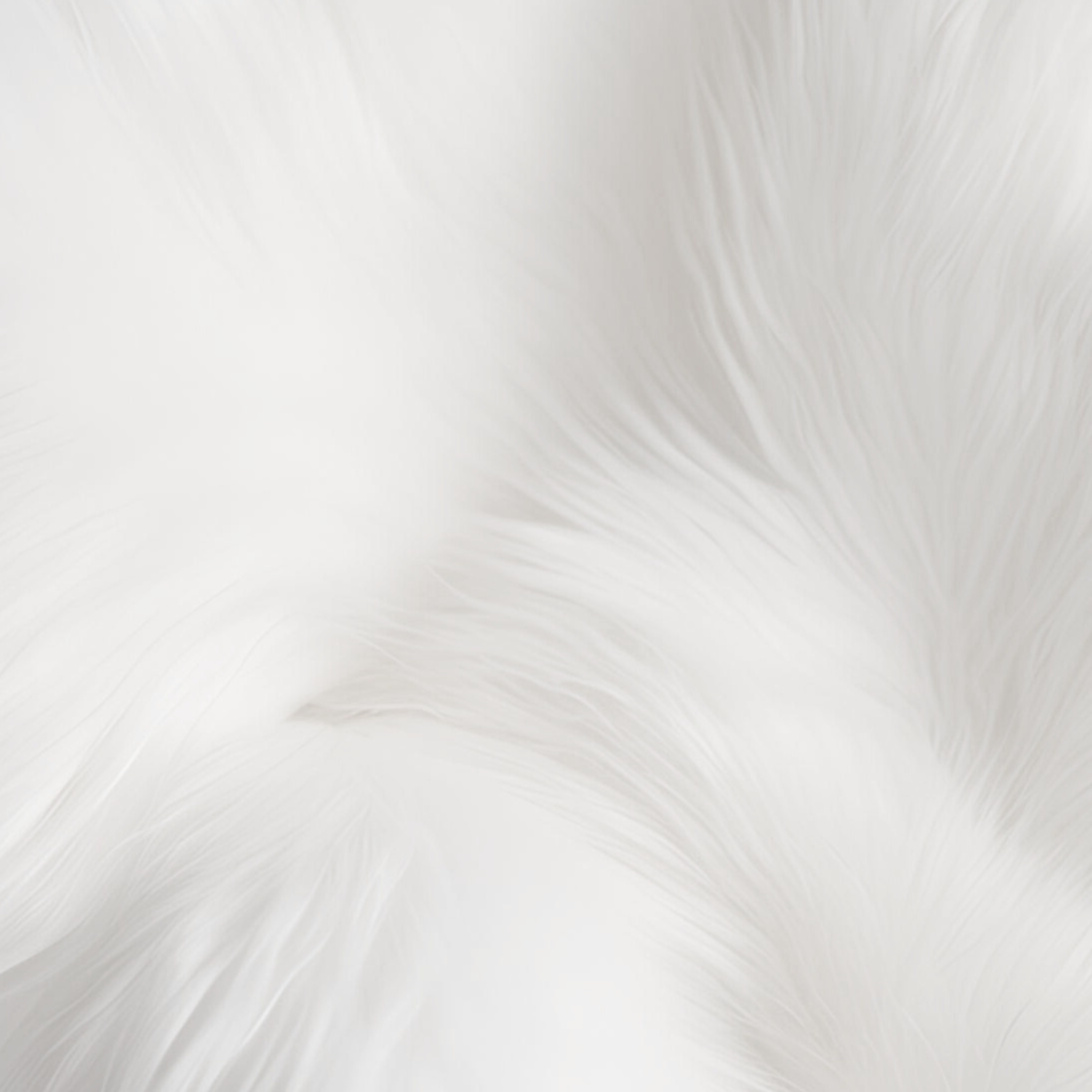 A O R I N A E I .png