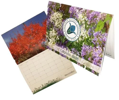 Colourful+calendars+printed+to+your+designs t.jpg