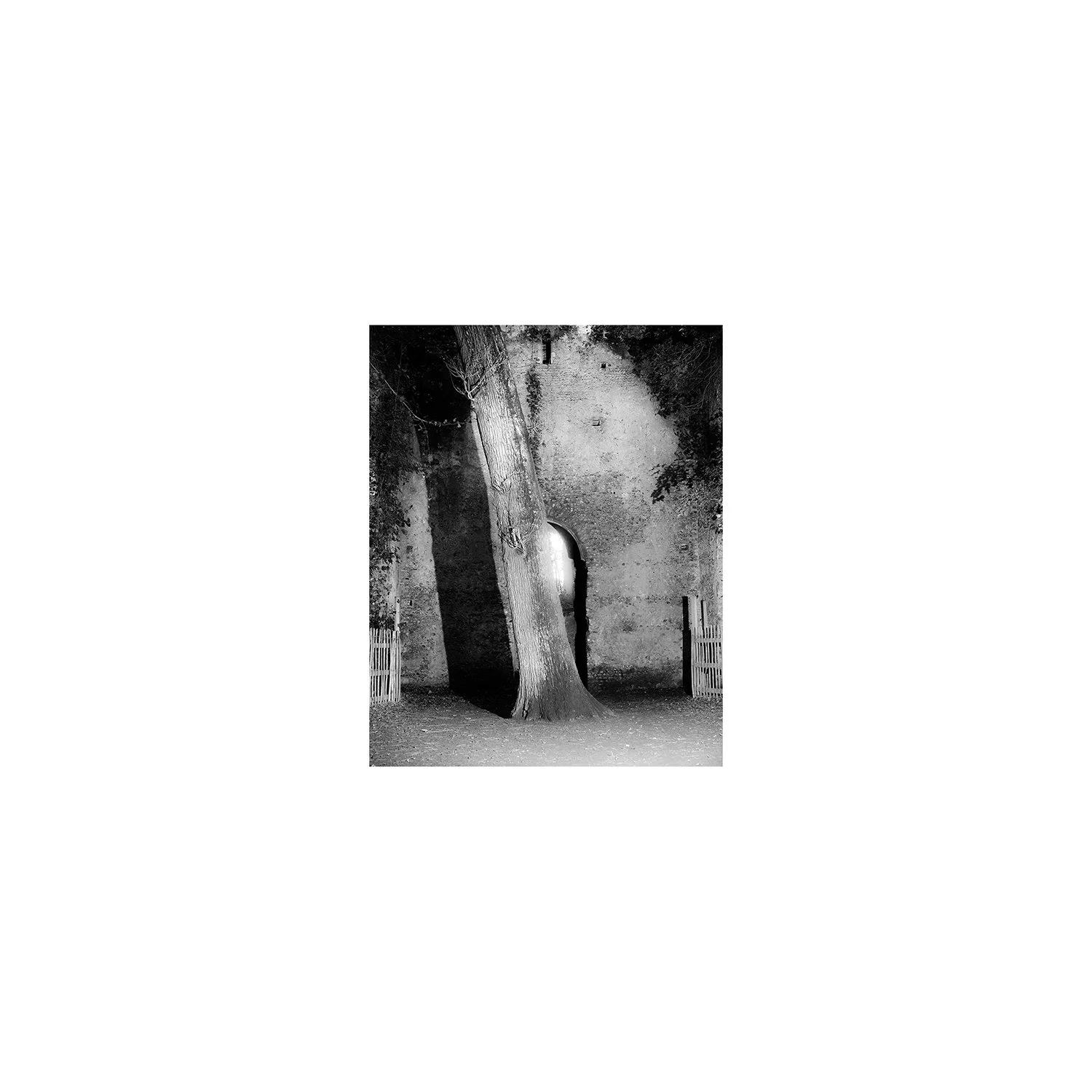 The Witch's Leg [2026]