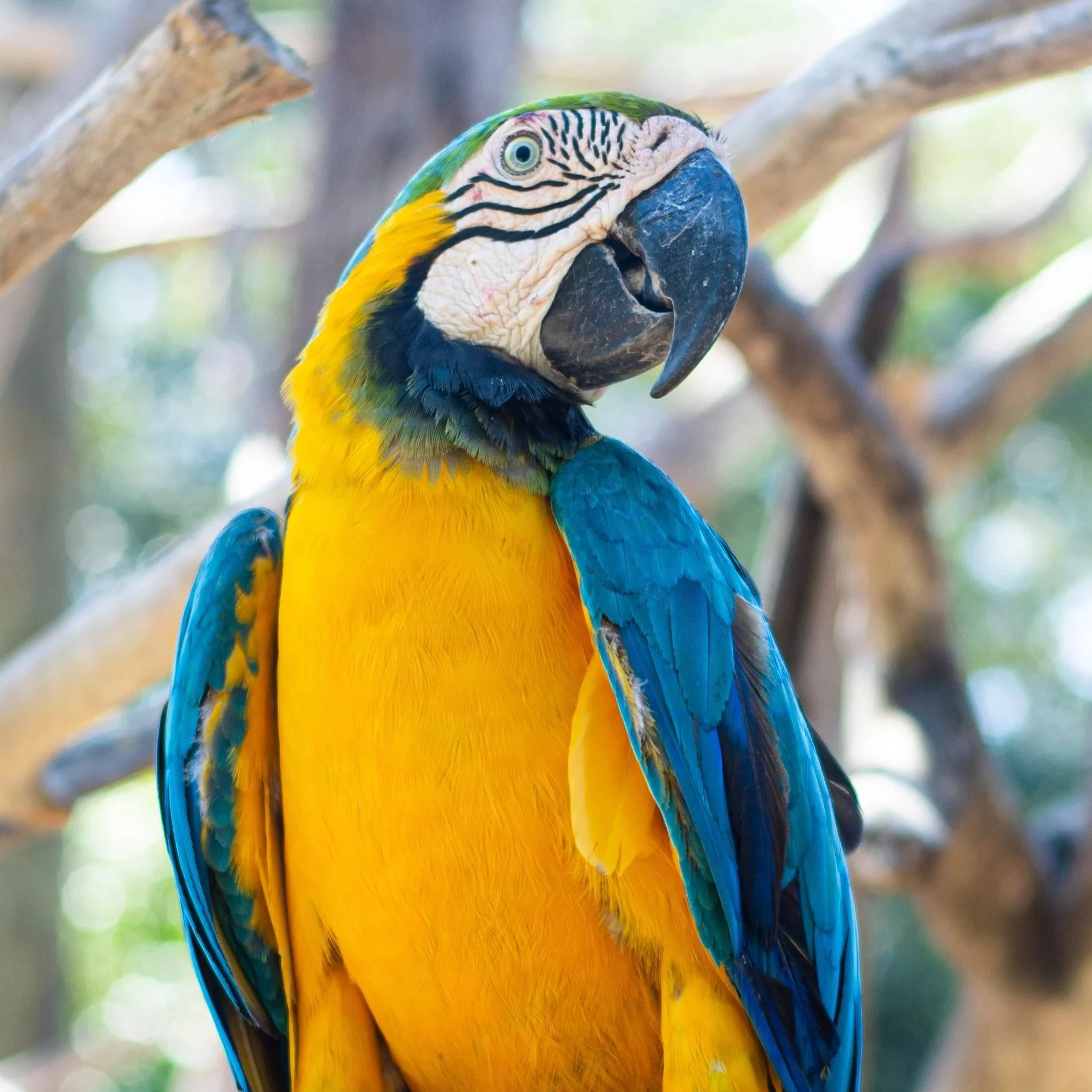 Colombia
