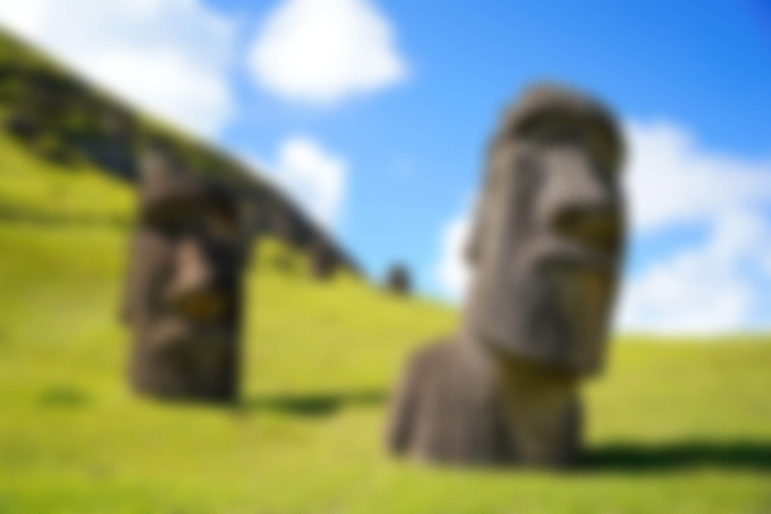 202504_rapaNui-0-382.jpg