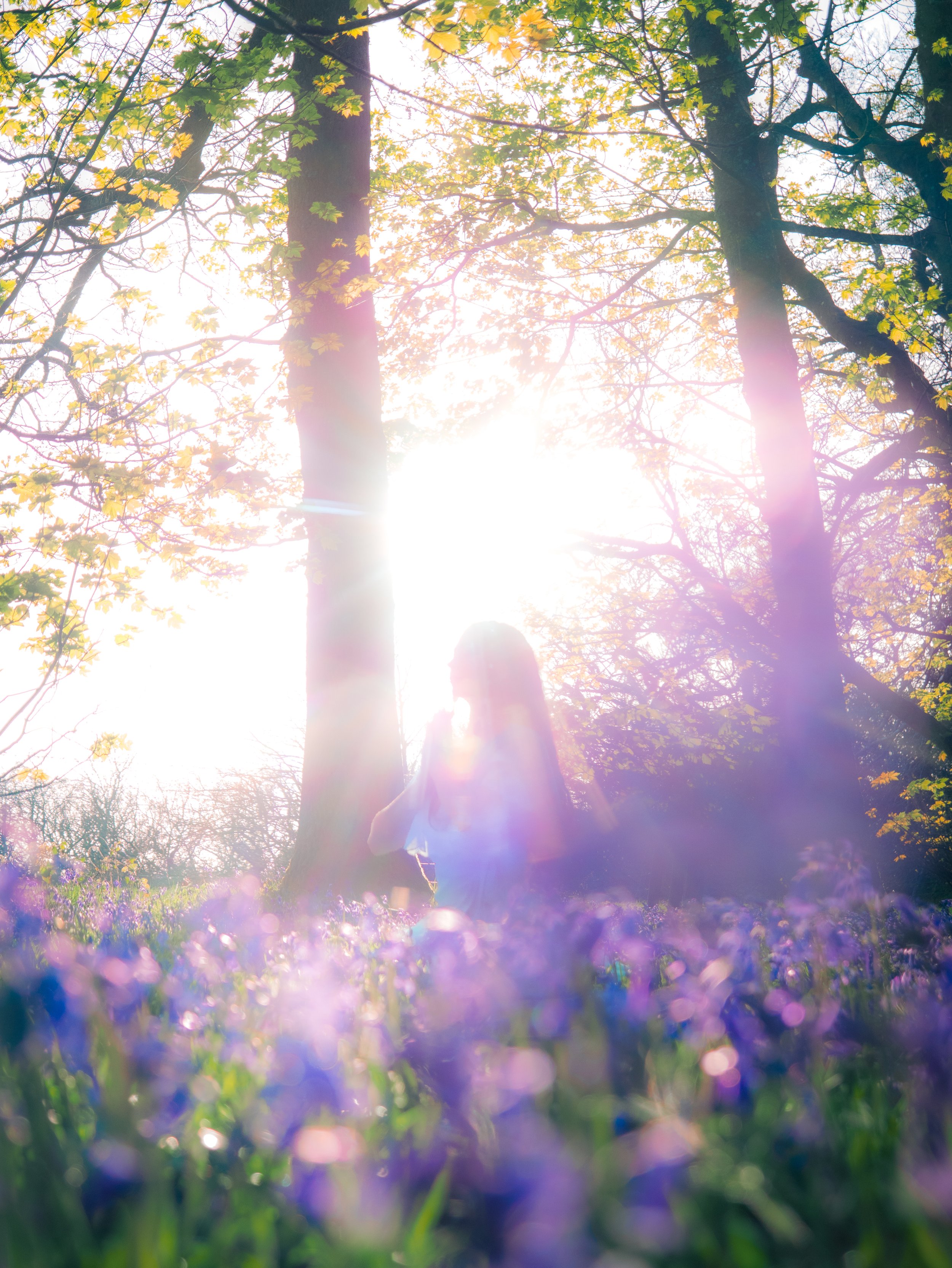 Bluebell - Mintaka Website Exports-22.jpg