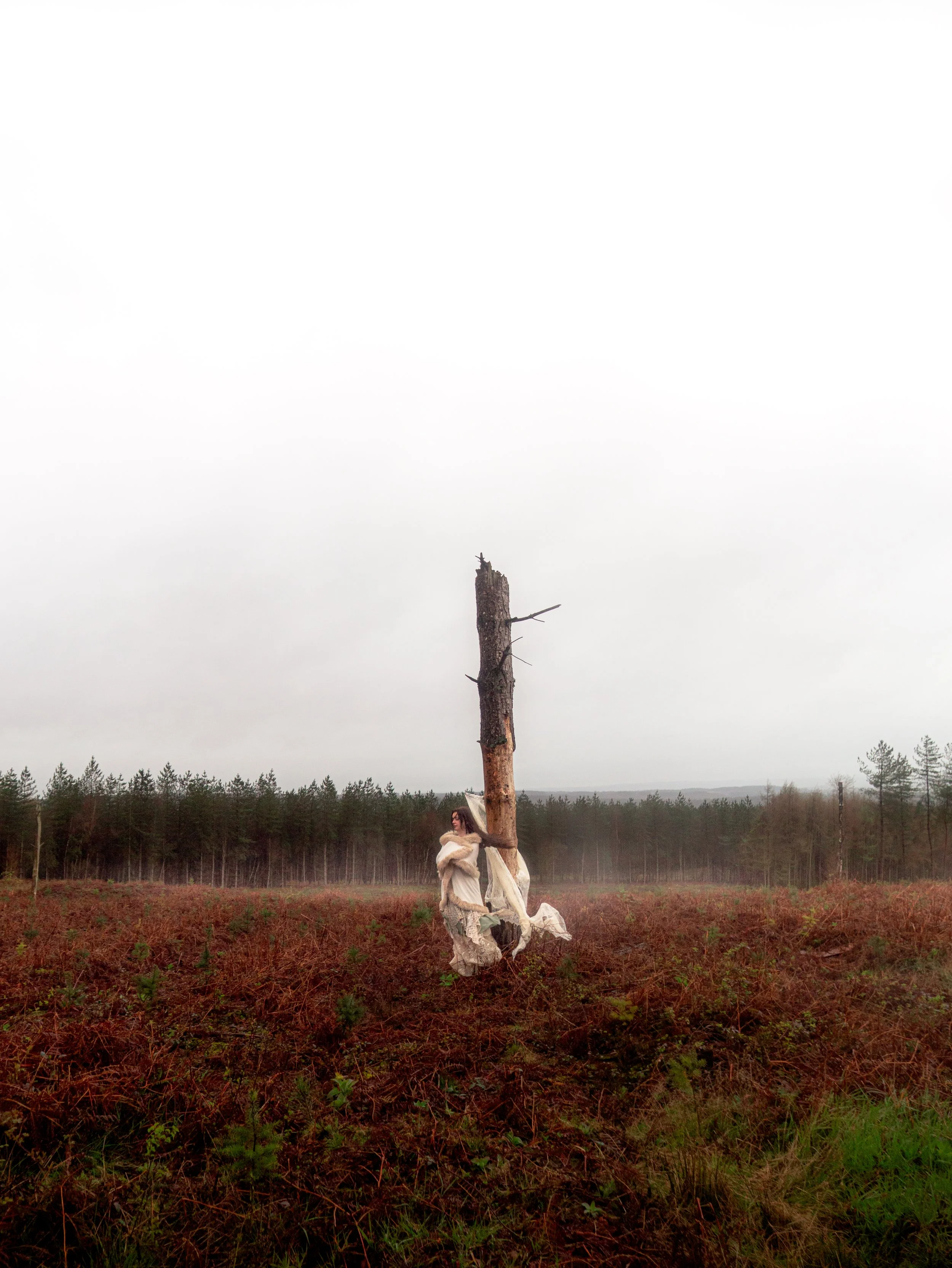 Fading Fae Exports-14.jpg