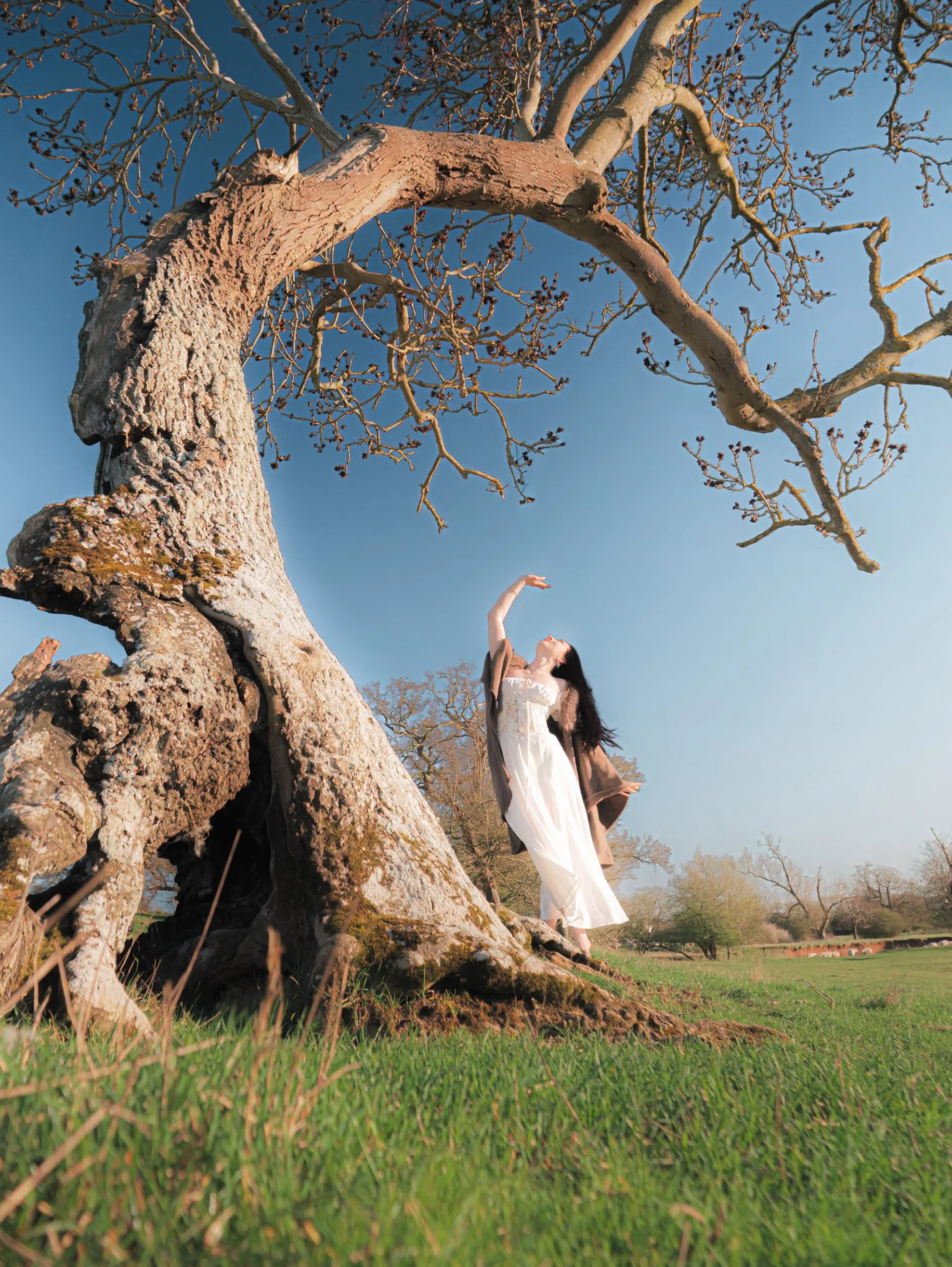 Mintaka - Sheepstress-18.jpg