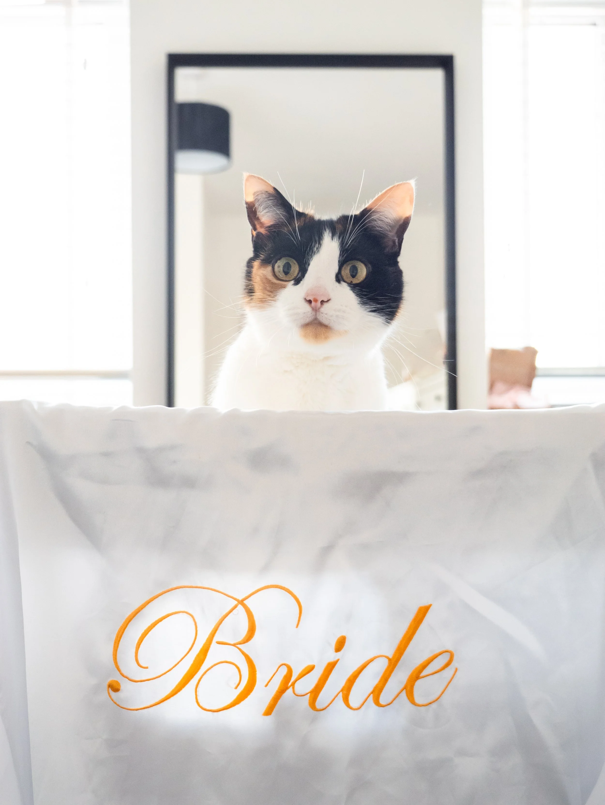 Abbie & Lewis Wedding Exports - Website-13.jpg