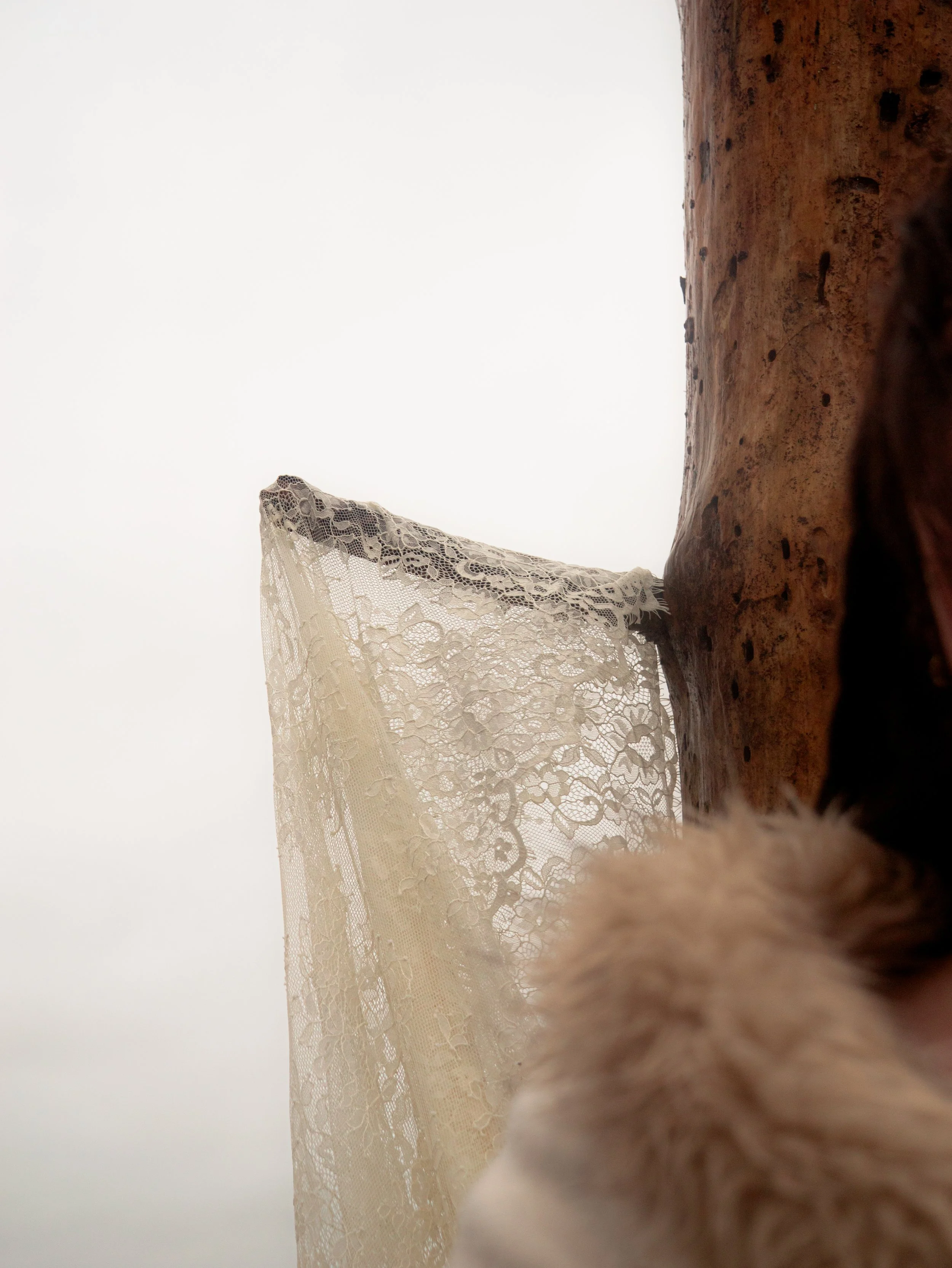 Fading Fae Exports-13.jpg