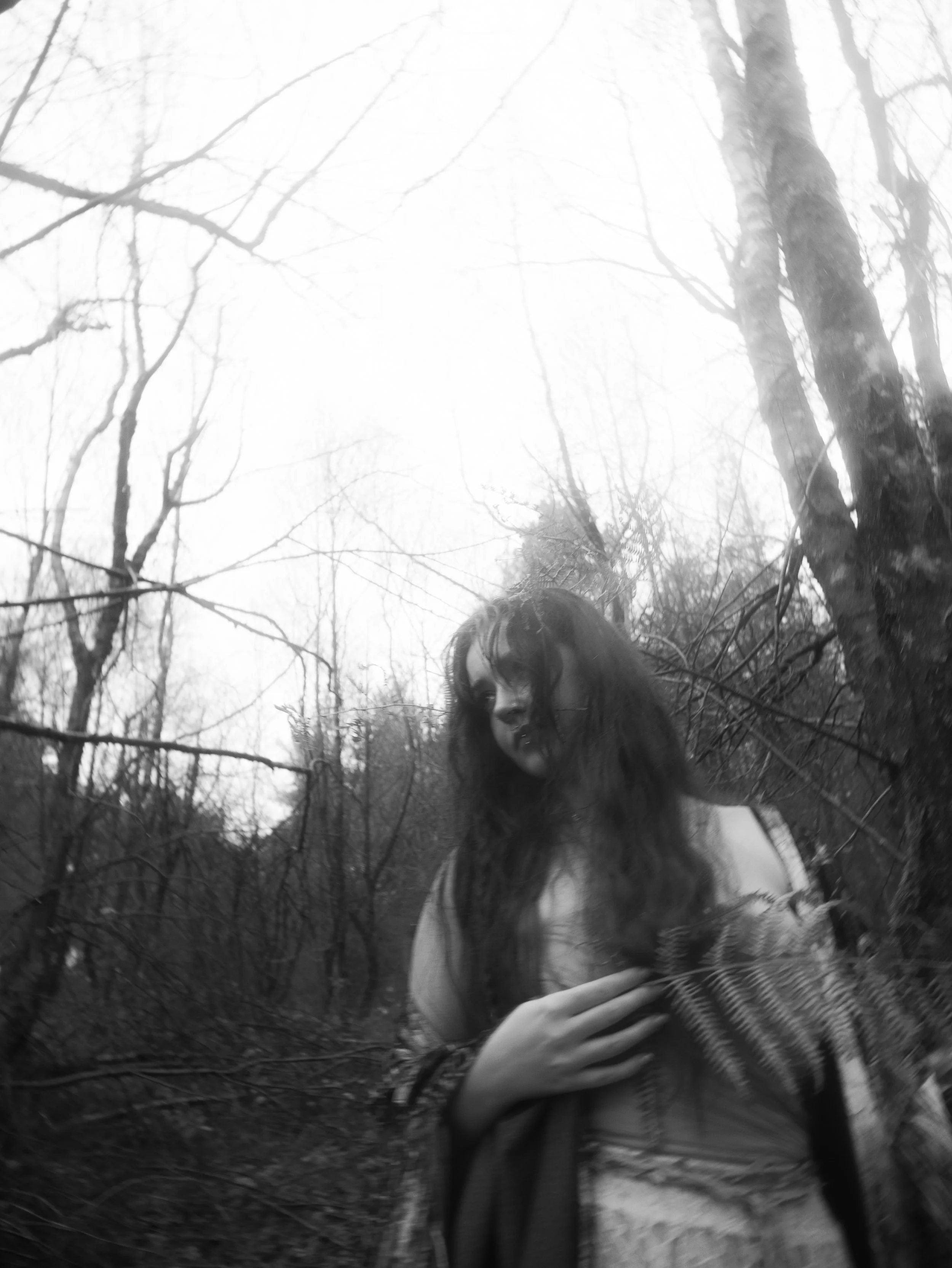 Fading Fae Exports-22.jpg