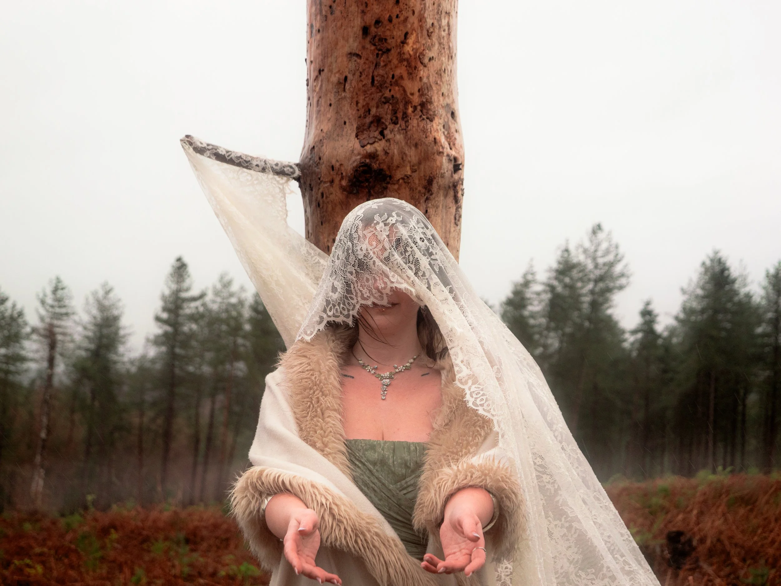 Fading Fae Exports-10.jpg