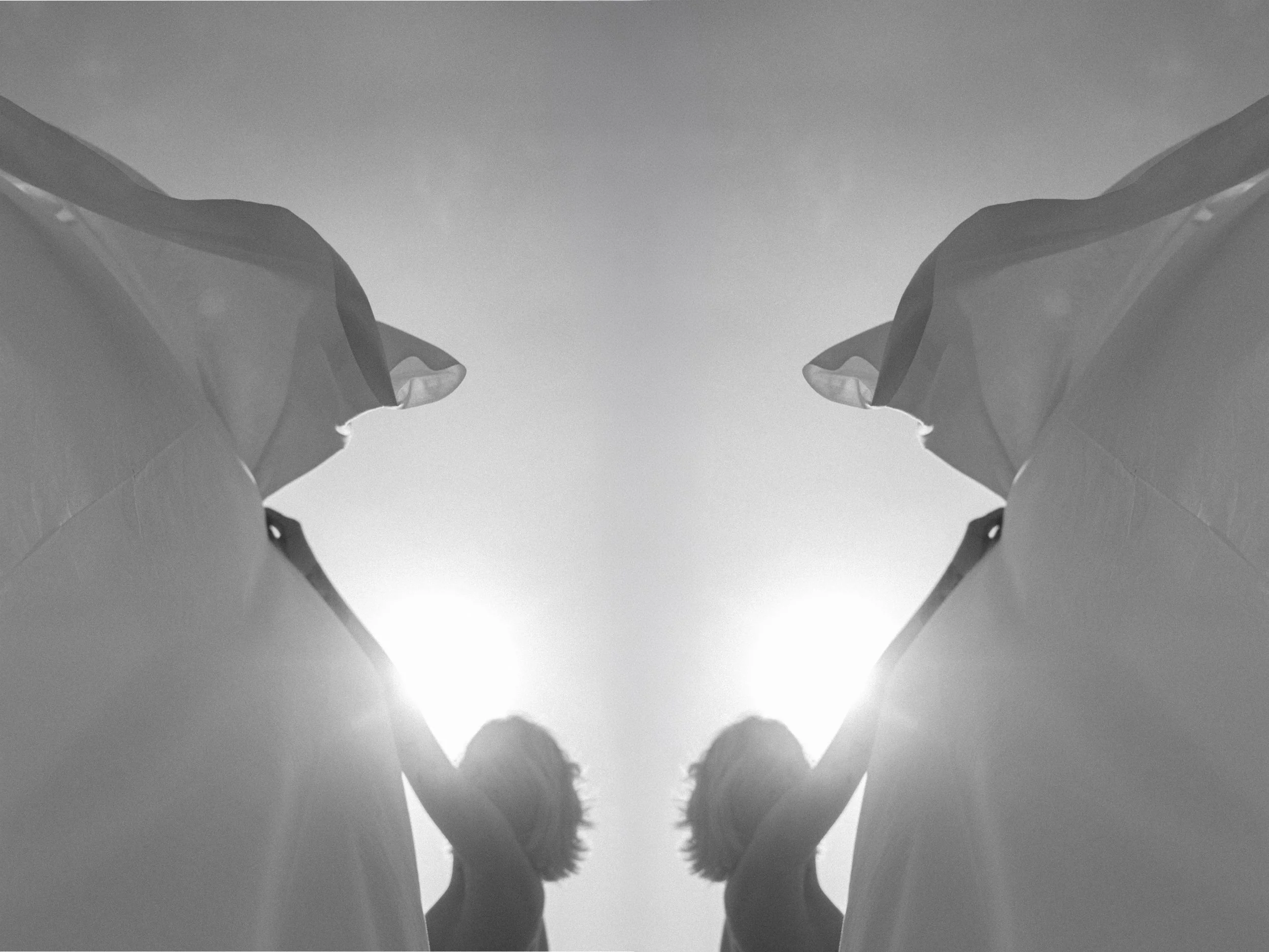 Butterfly compressed.jpeg