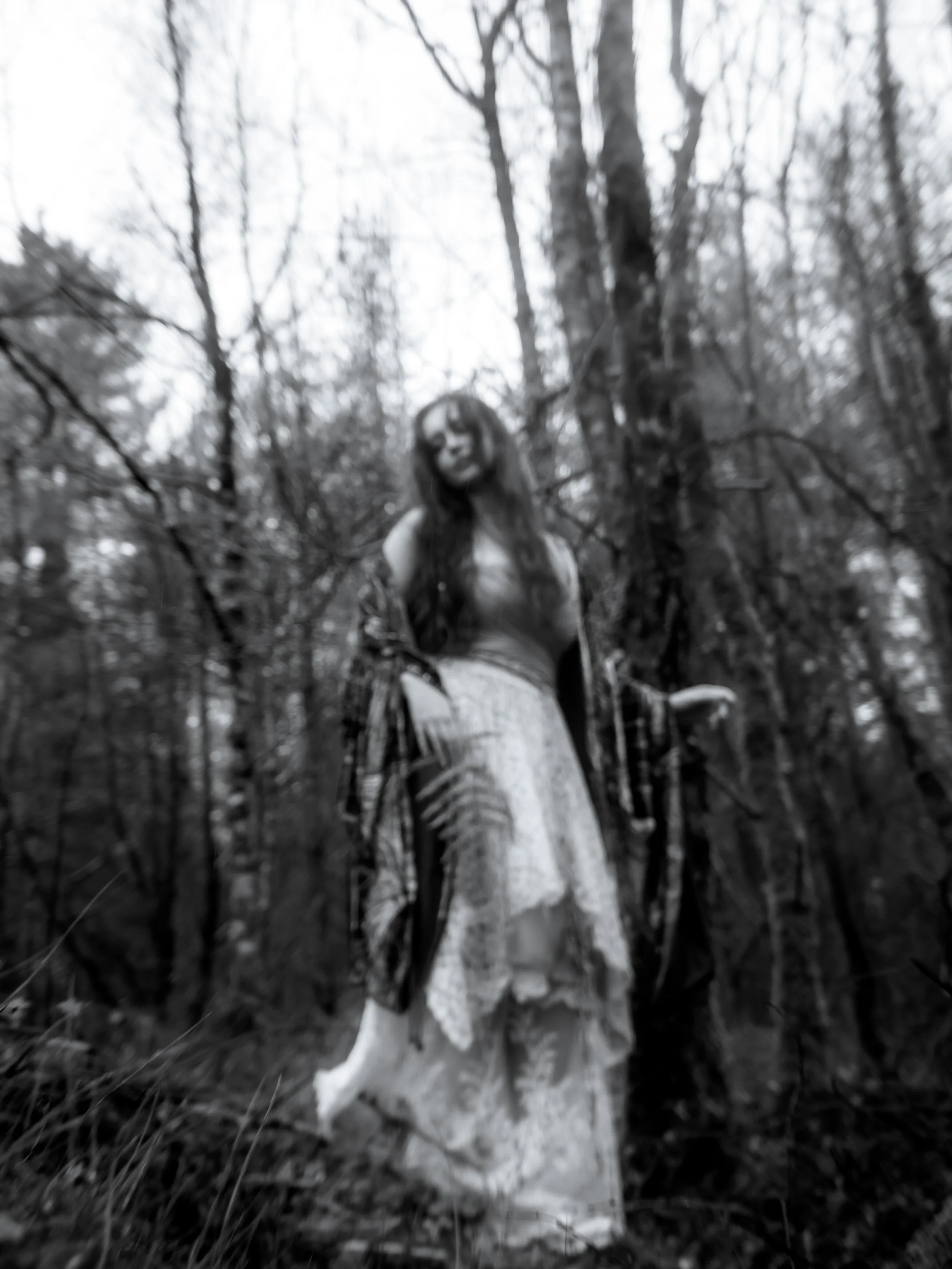 Fading Fae Exports-19.jpg