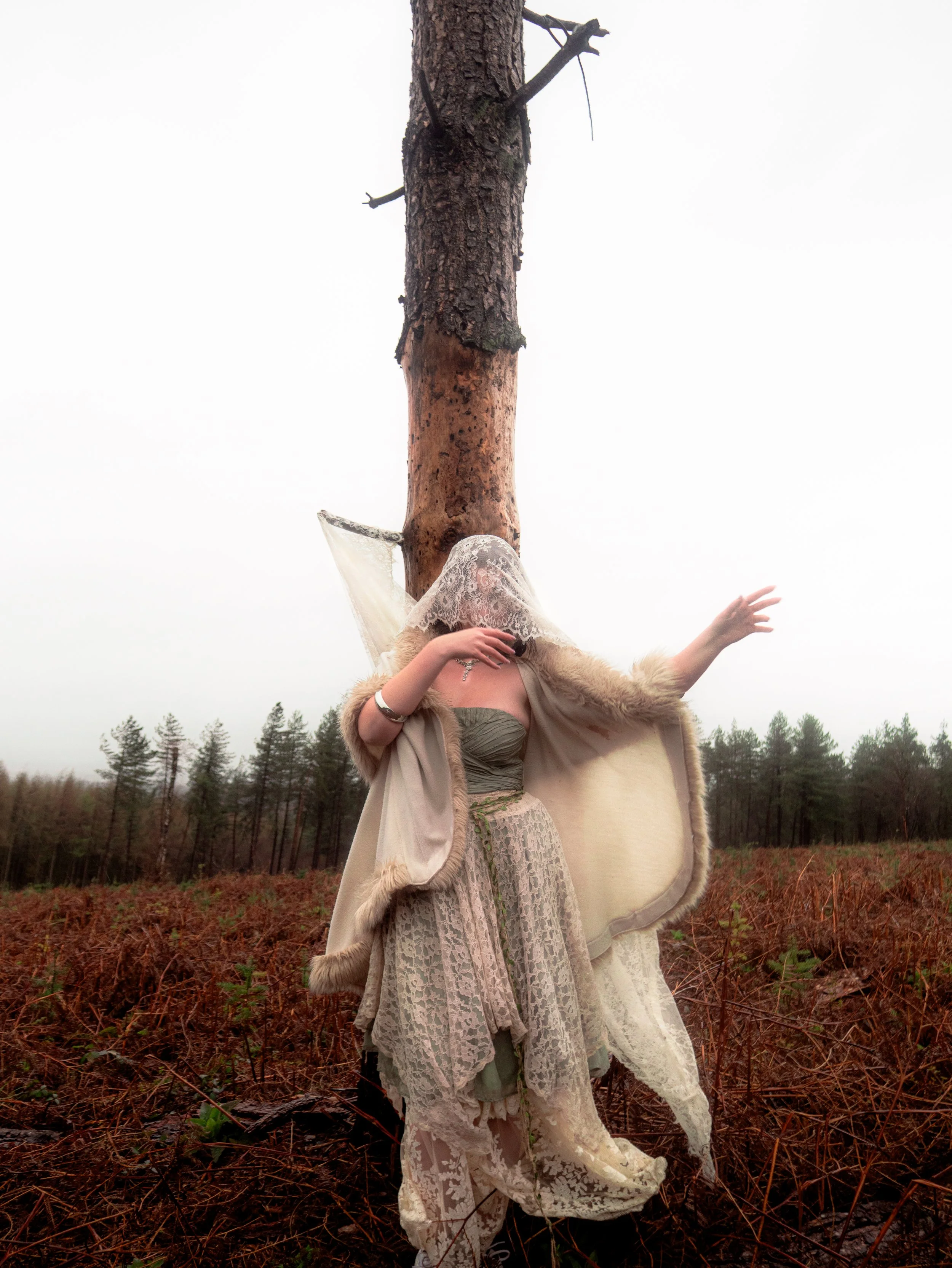 Fading Fae