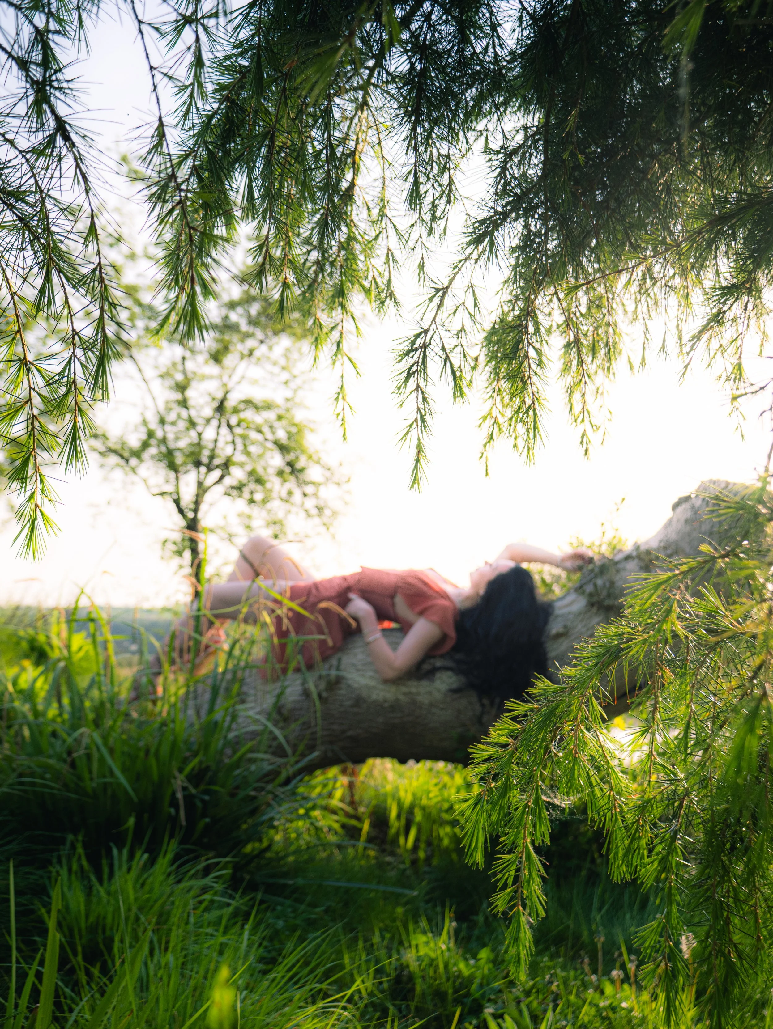 Gateway Of Enchantment