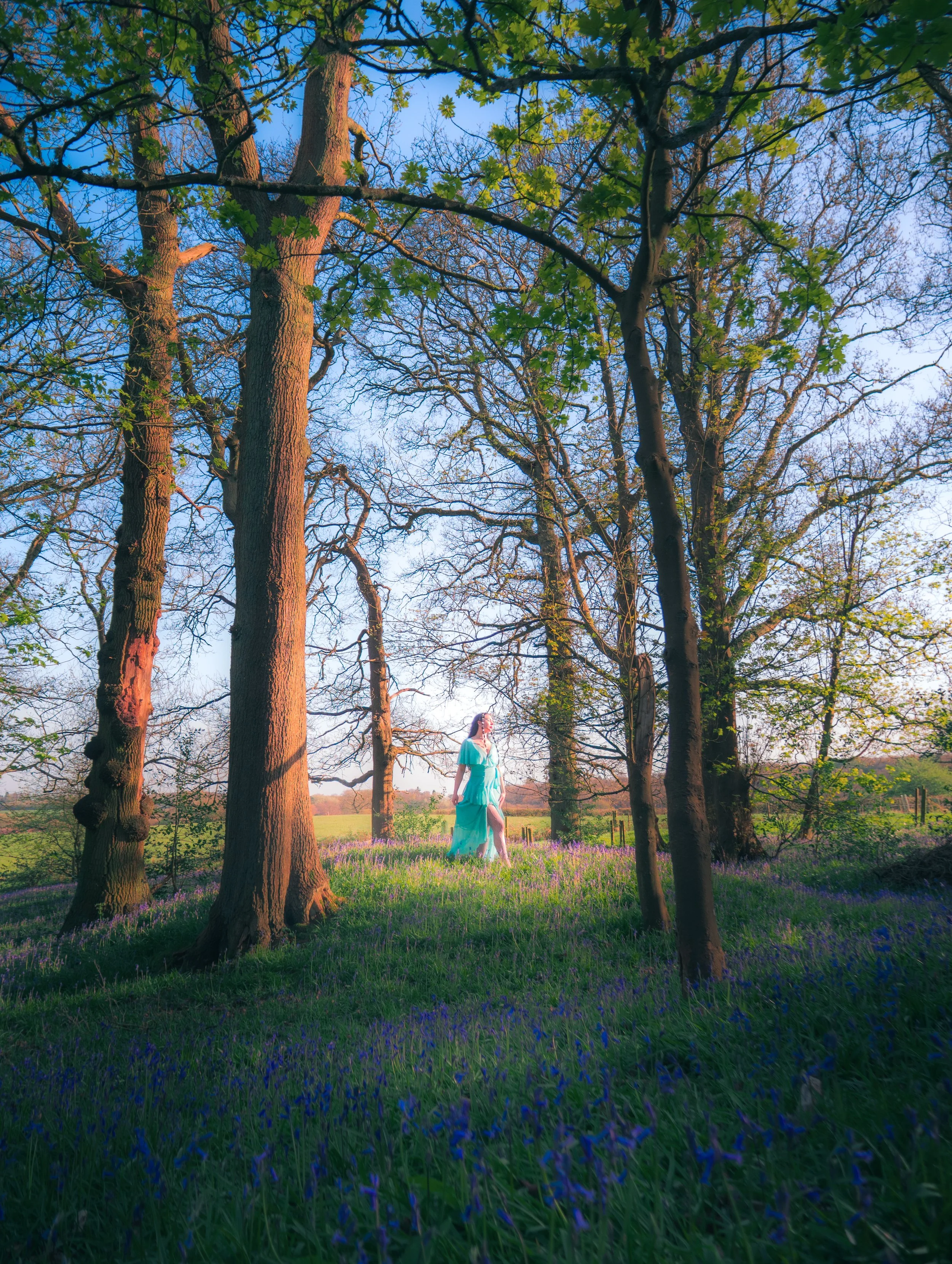 Bluebell - Mintaka Website Exports.jpg