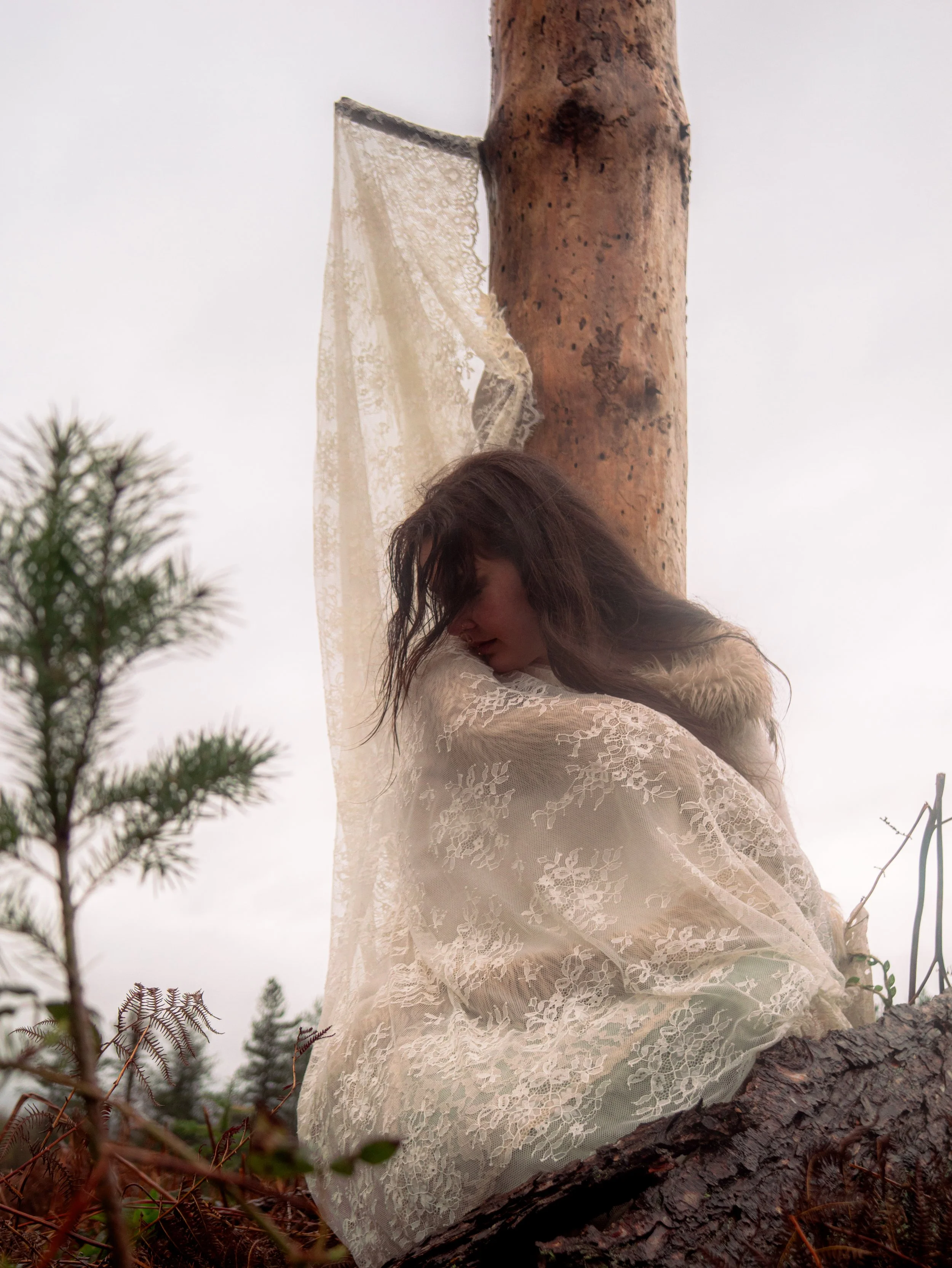 Fading Fae Exports-15.jpg