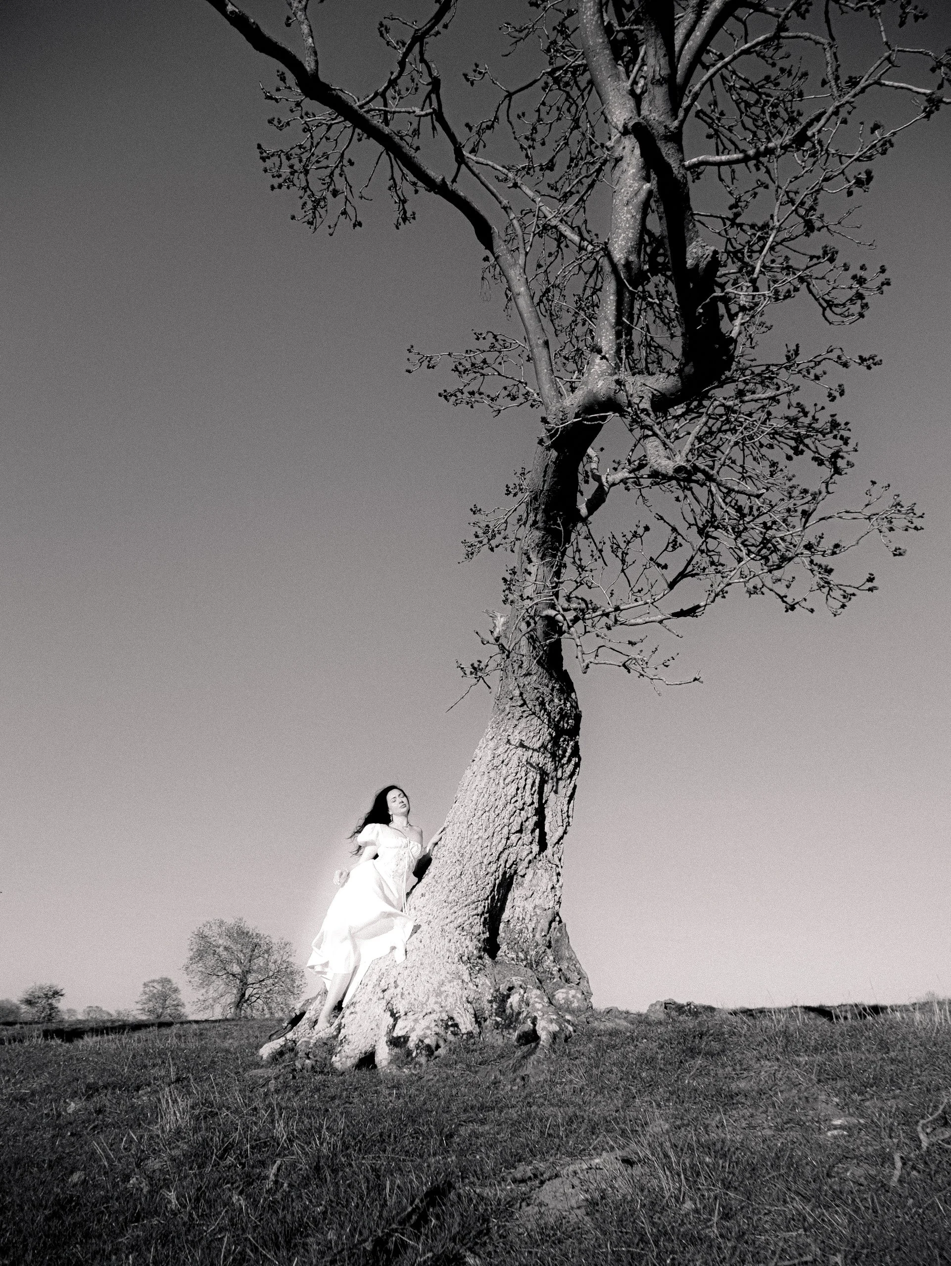 Mintaka - Sheepstress-27.jpg