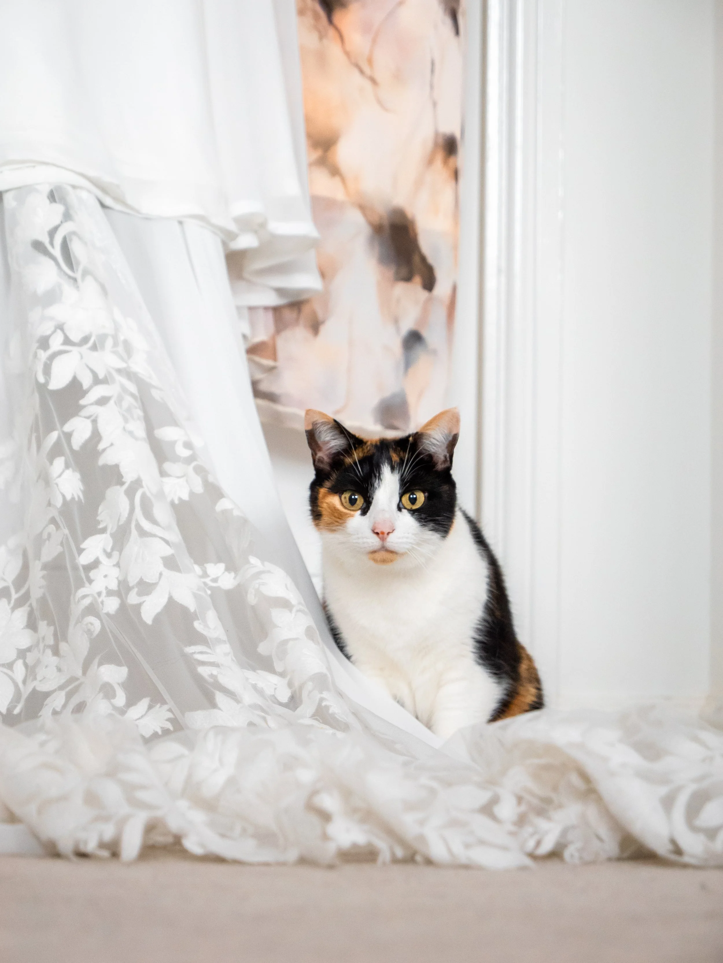 Abbie & Lewis Wedding Exports - Website-16.jpg
