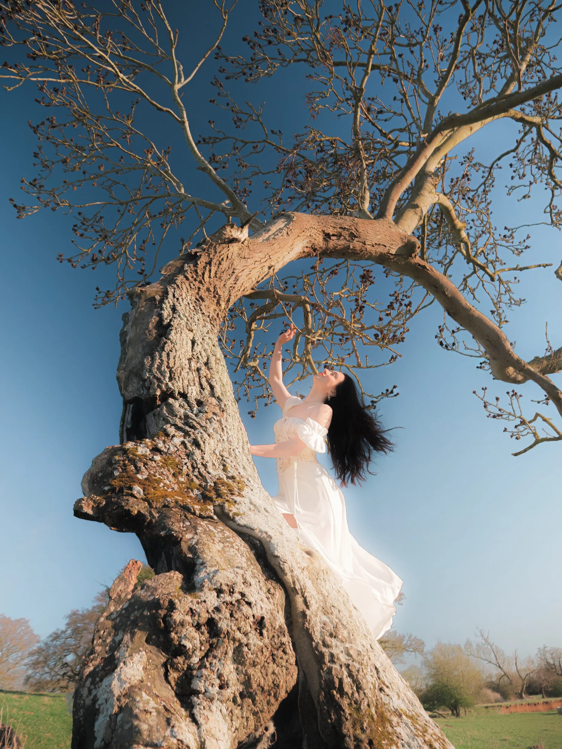 Mintaka - Sheepstress-24.jpg