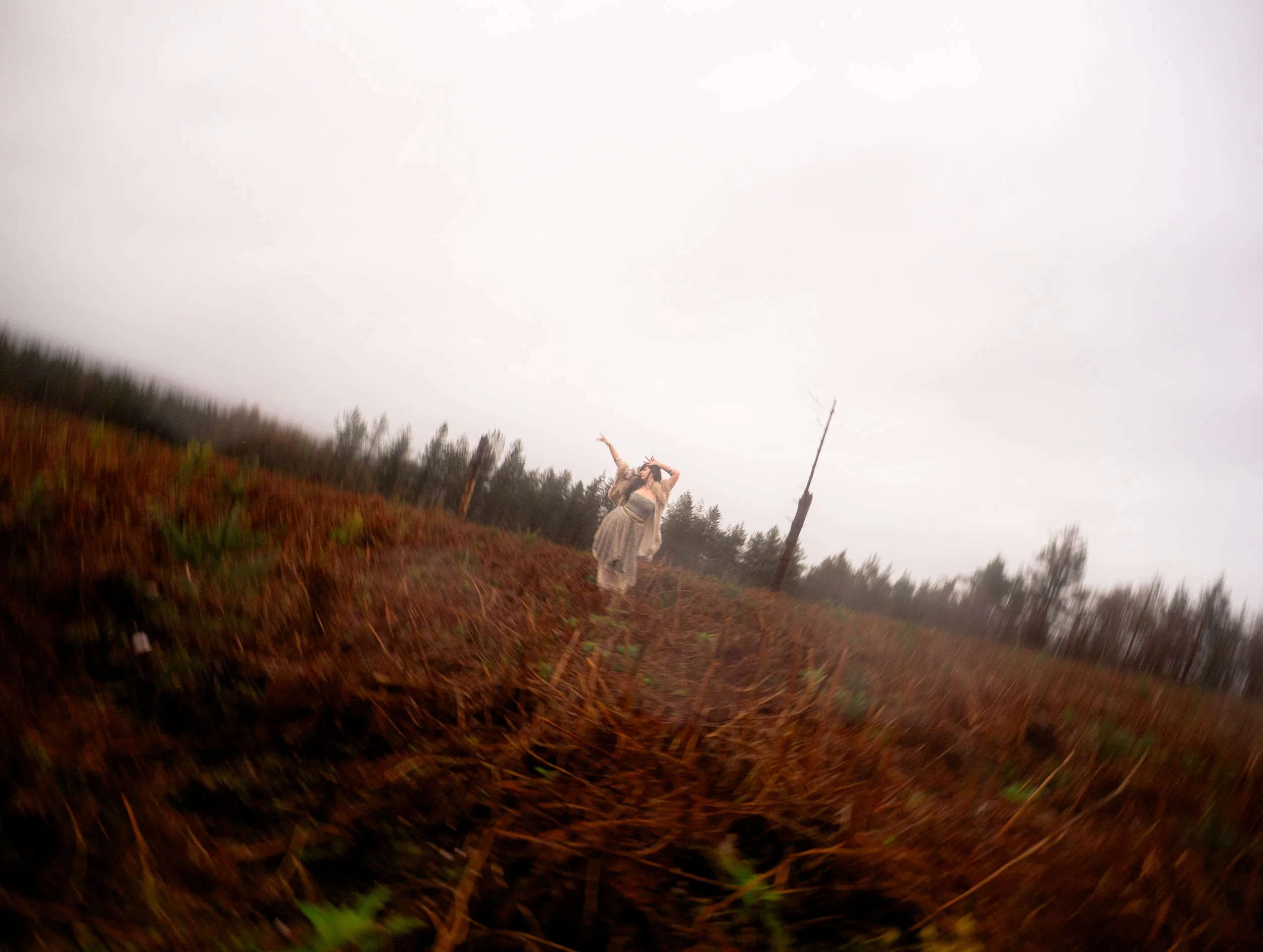 Fading Fae Exports-4.jpg