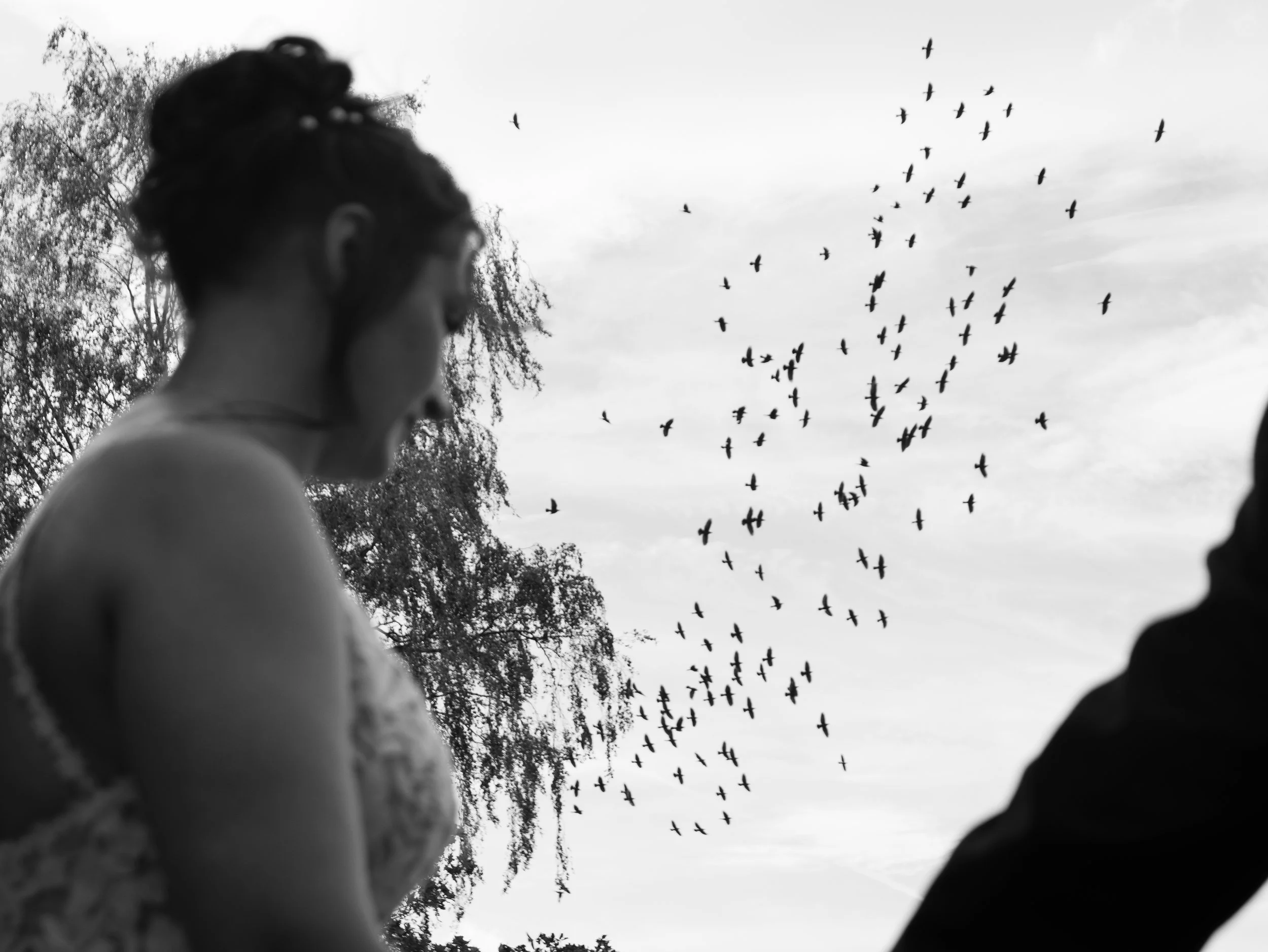 Abbie & Lewis Wedding Exports - Website-94.jpg