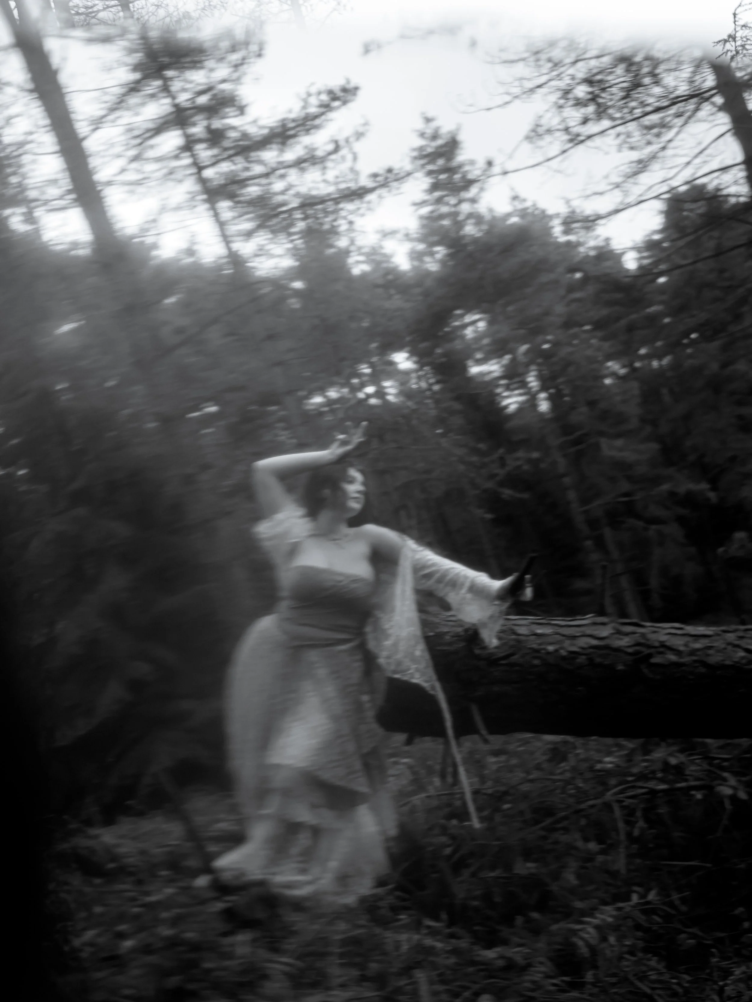 Fading Fae Exports-31.jpg