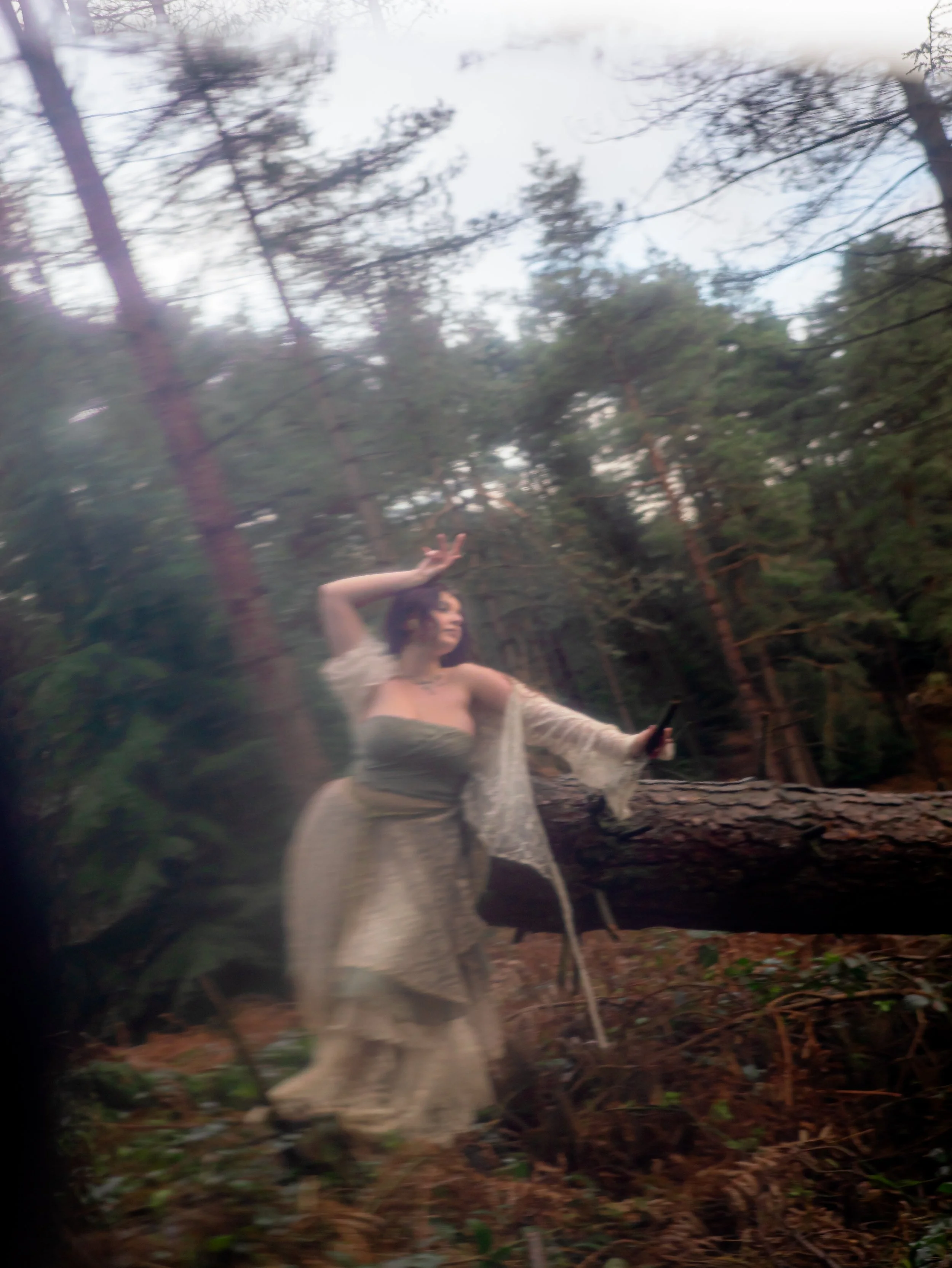 Fading Fae Exports-30.jpg