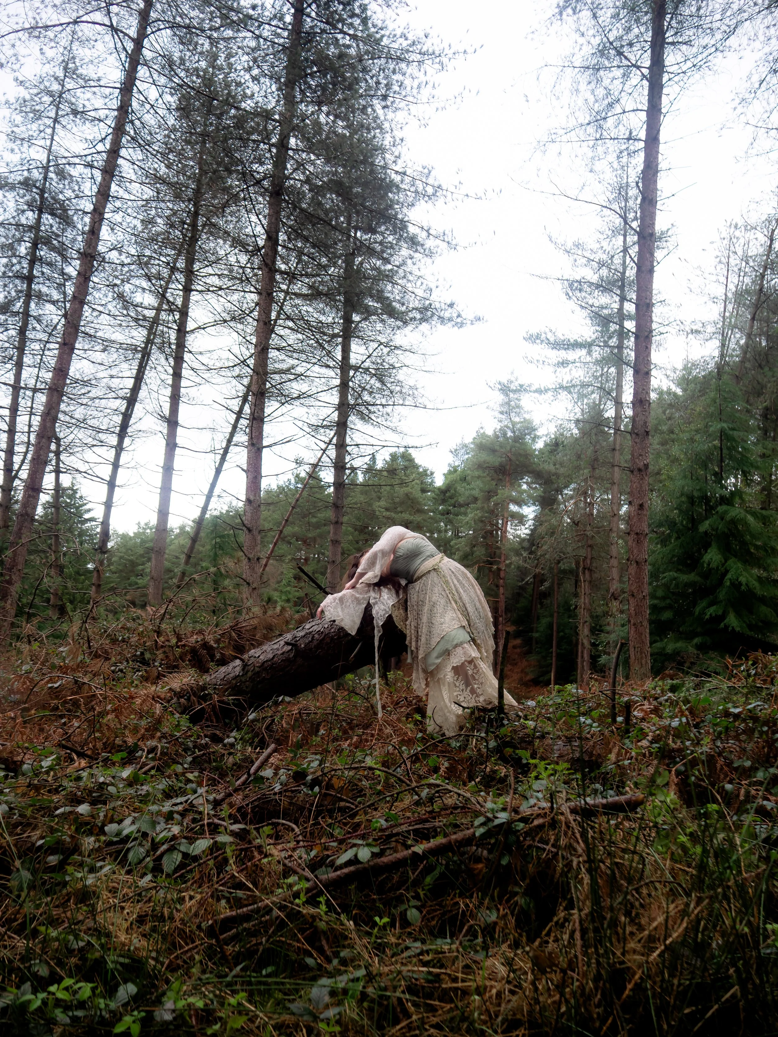 Fading Fae Exports-29.jpg