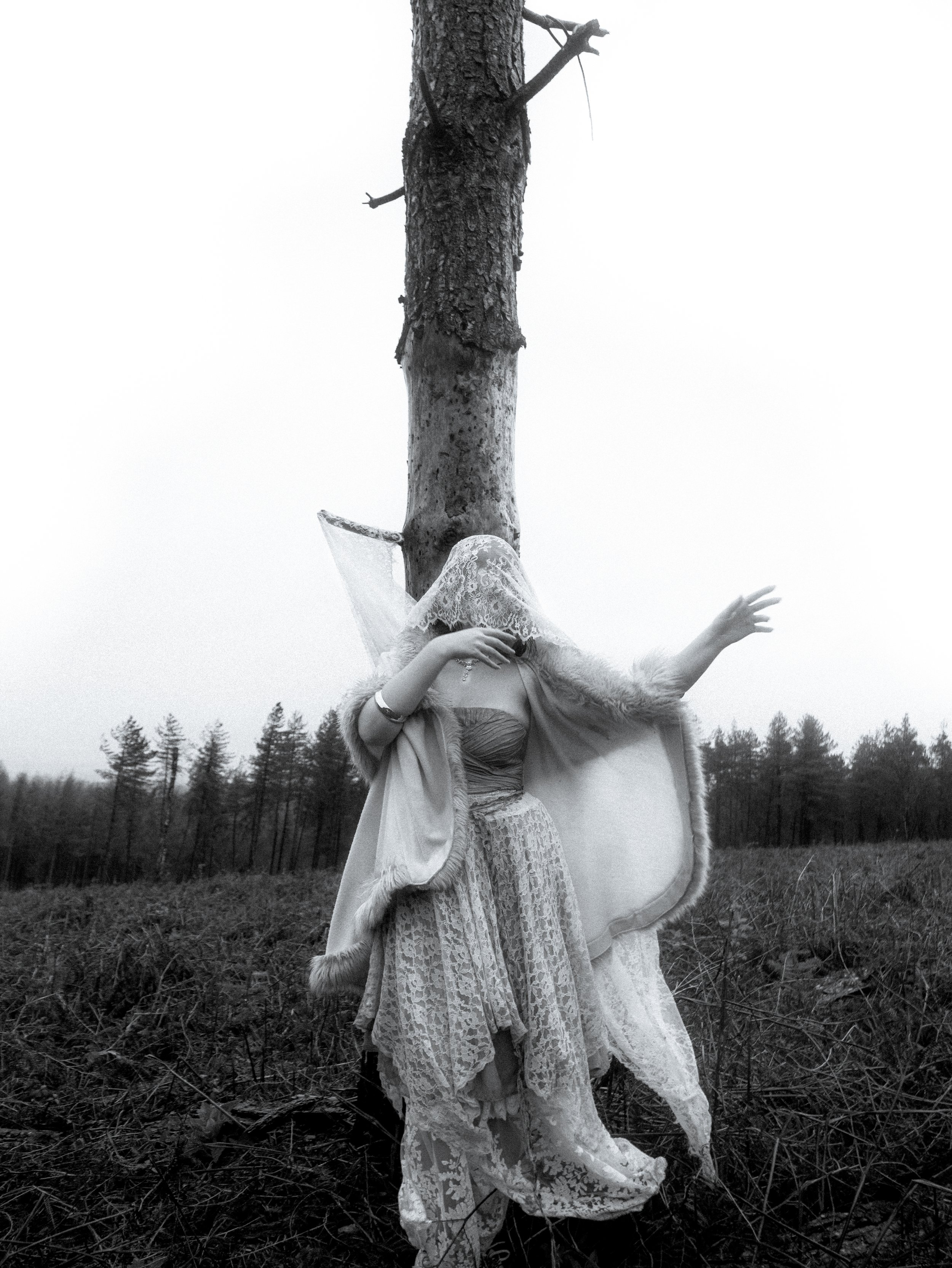 Fading Fae Exports-12.jpg