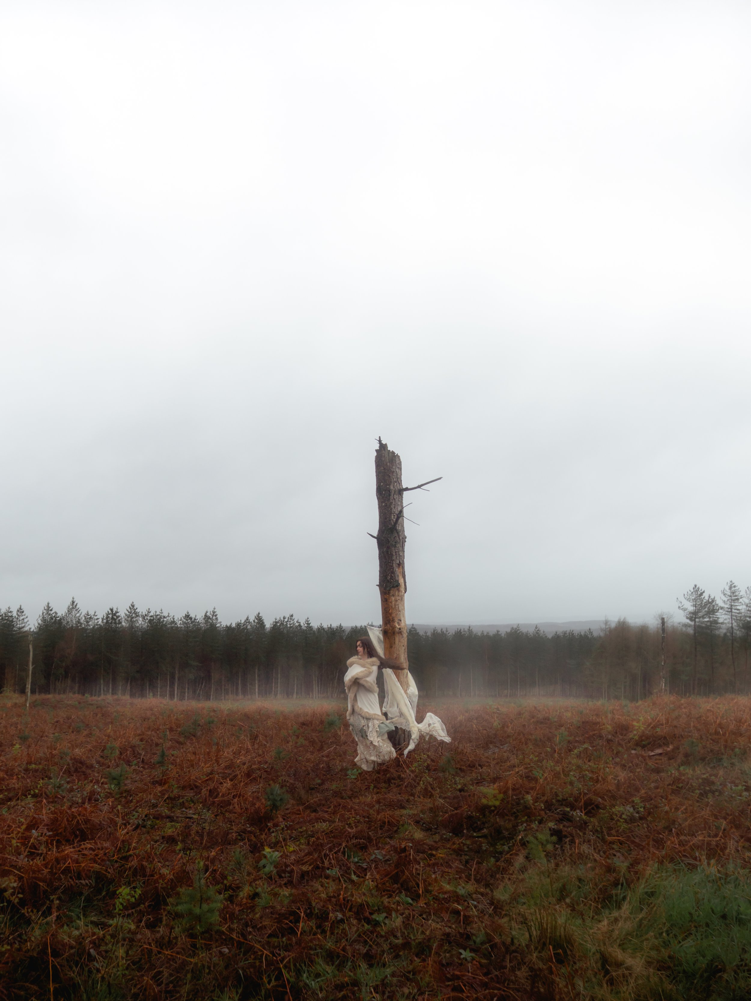 Fading Fae Test 2-1.jpg