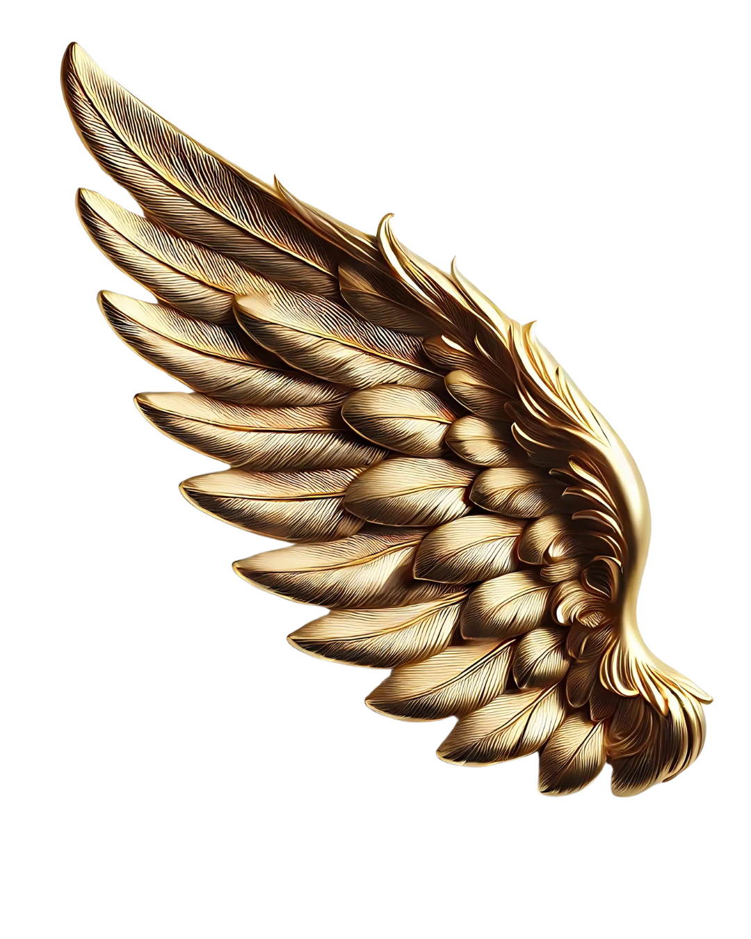 Golden angel wing with detailed feathers