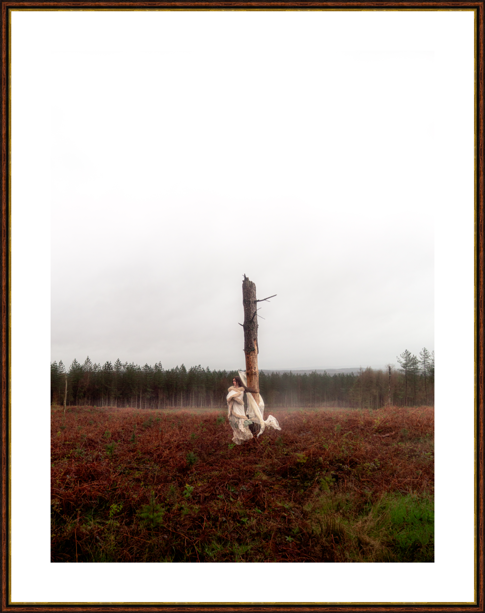 Fading Fae 1 Framed.png