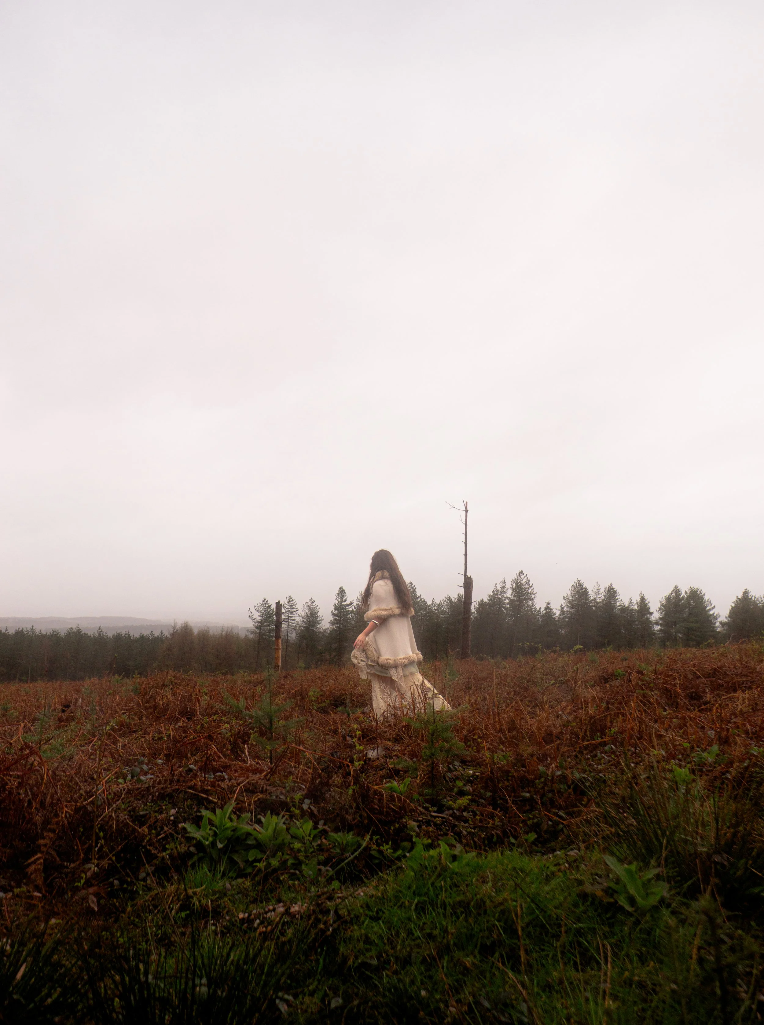 Fading Fae Exports-3.jpg