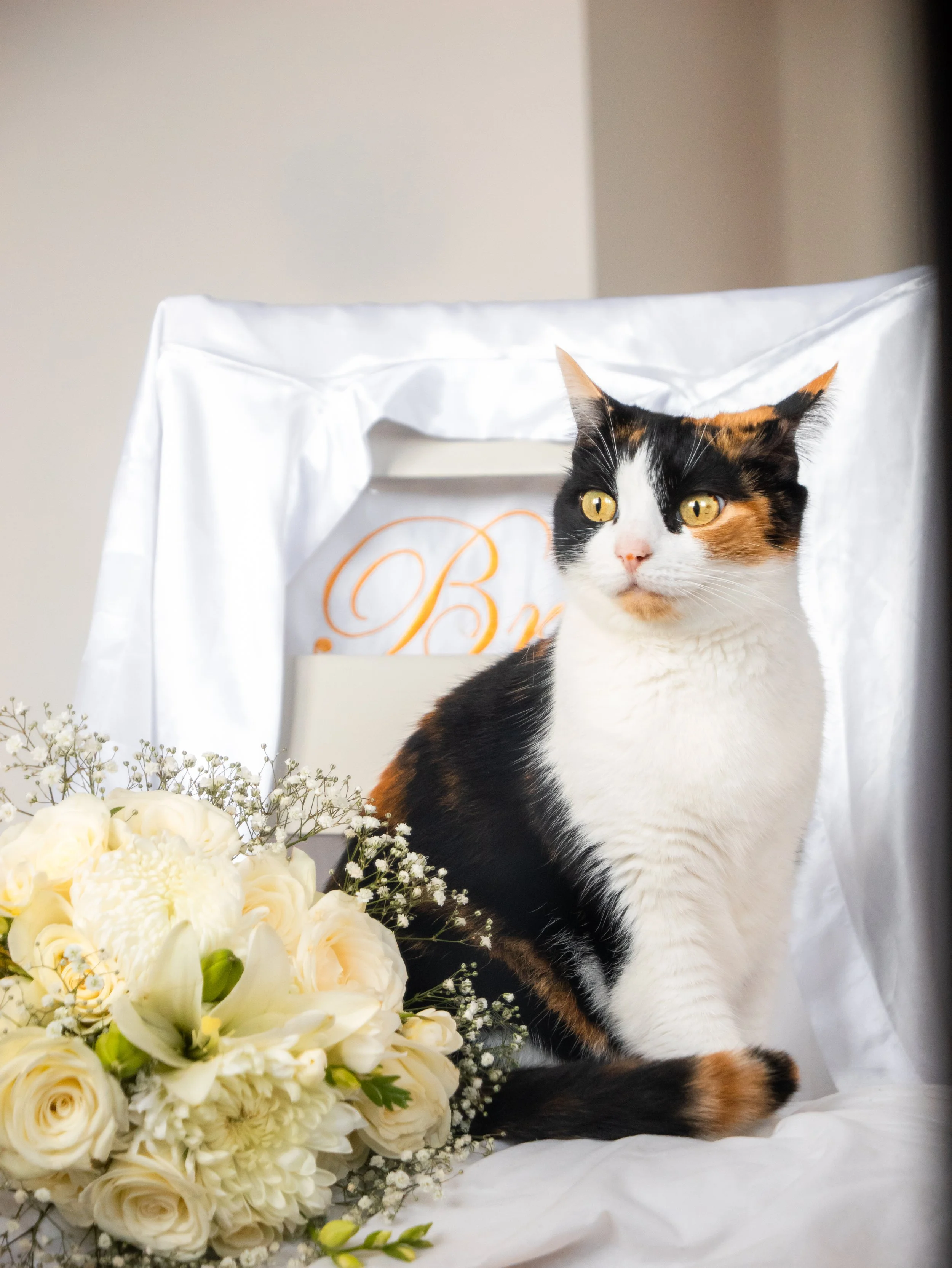 Abbie & Lewis Wedding Exports - Website-14.jpg