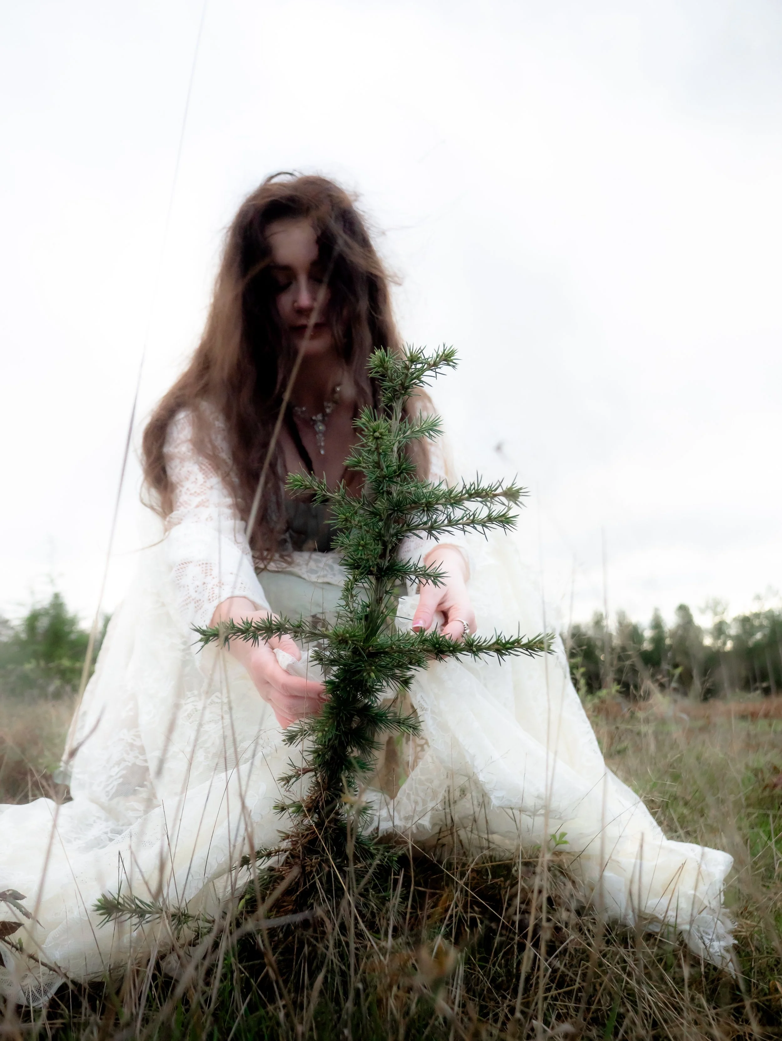 Fading Fae Exports-54.jpg