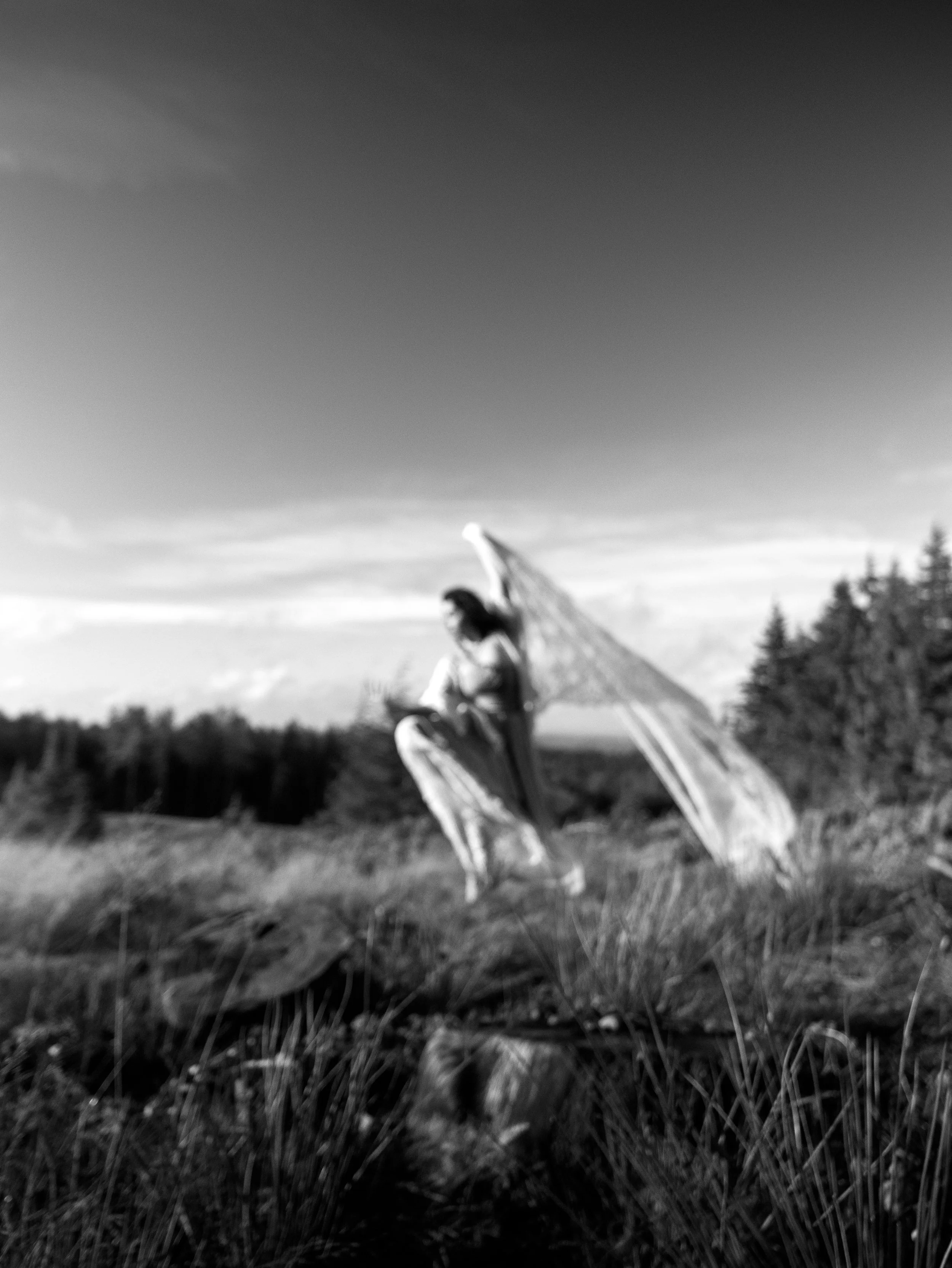 Fading Fae Exports-49.jpg