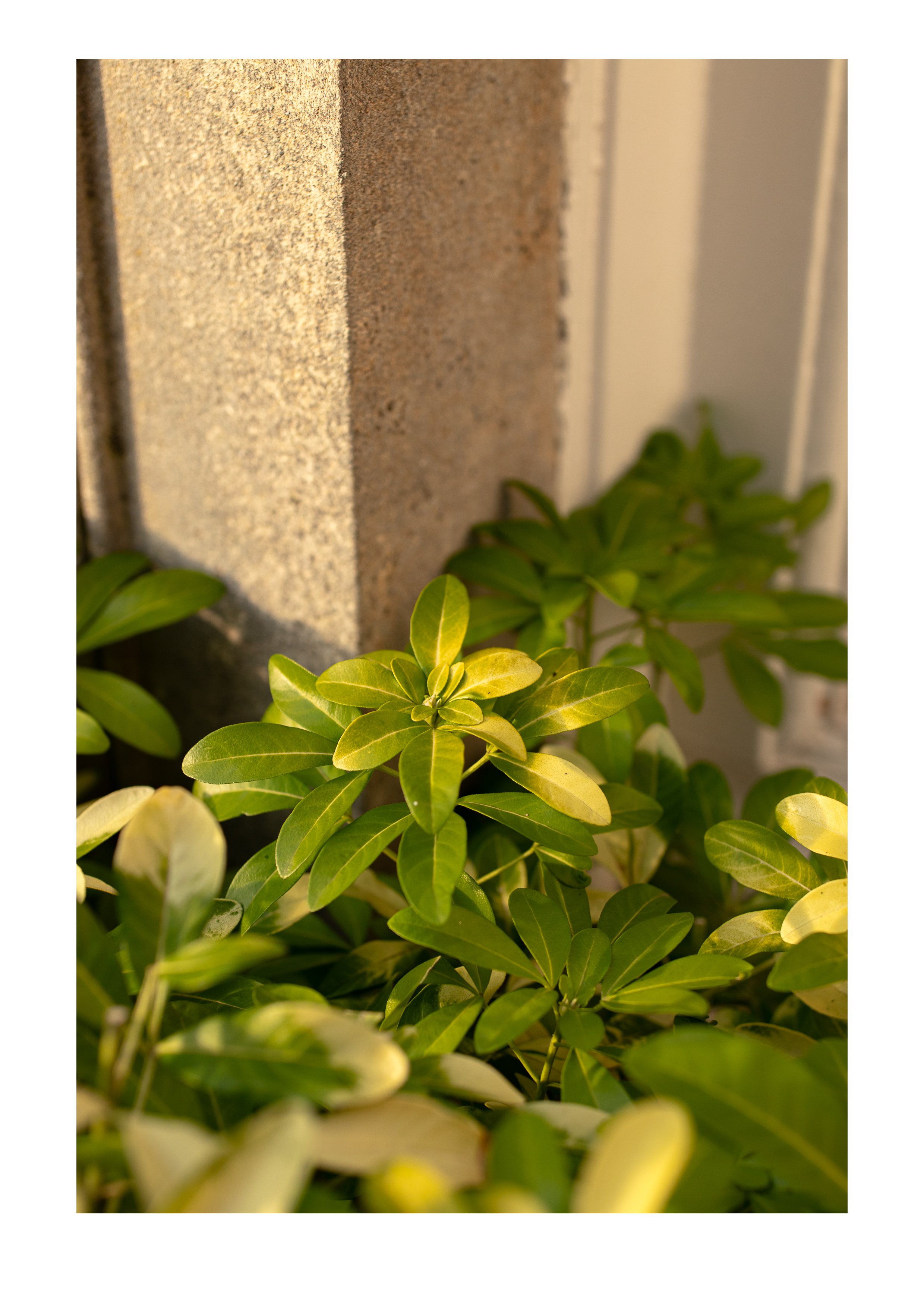 New home -04.jpg