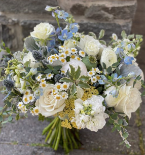 Screenshot 2026-01-14 at 12.59.30 PM.png (Copy)