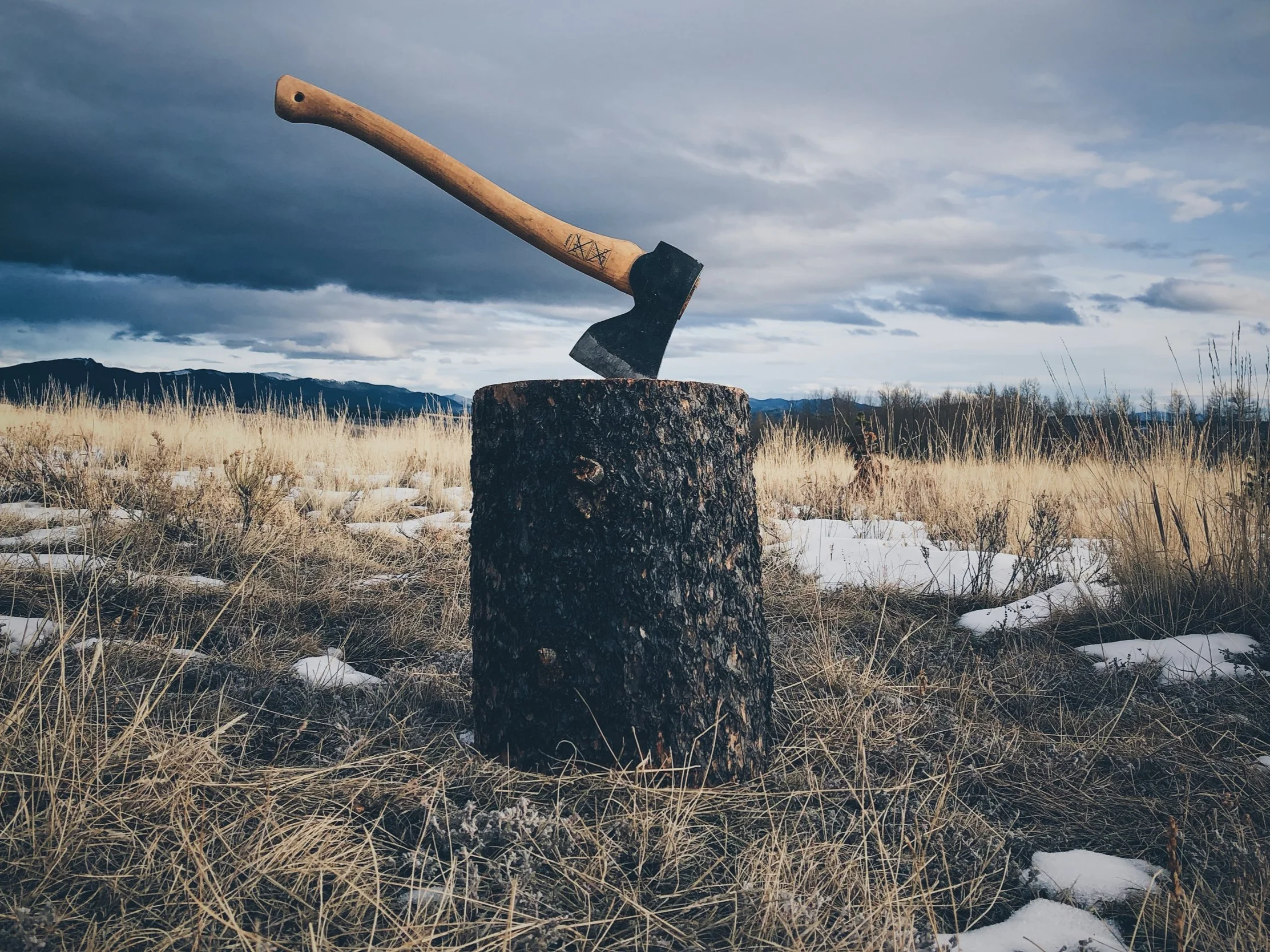 Toward God: Stewardship 2020