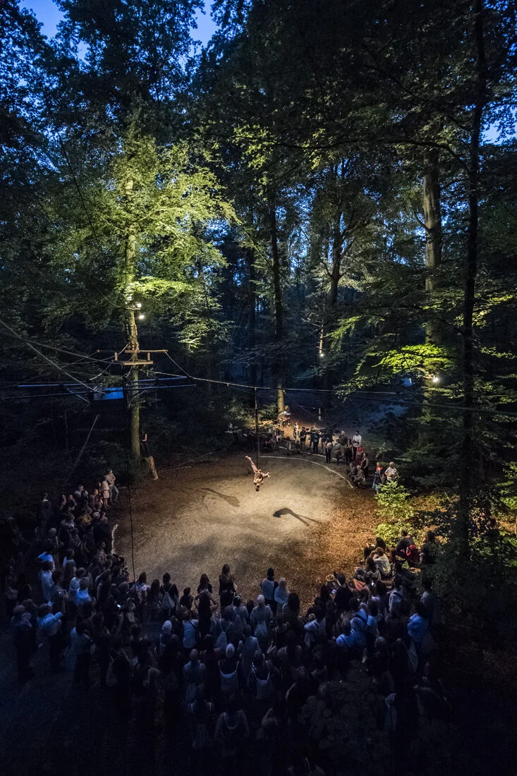 231_oeff-oeff_2018_zwischen-baeumen_davidschweizer.jpg