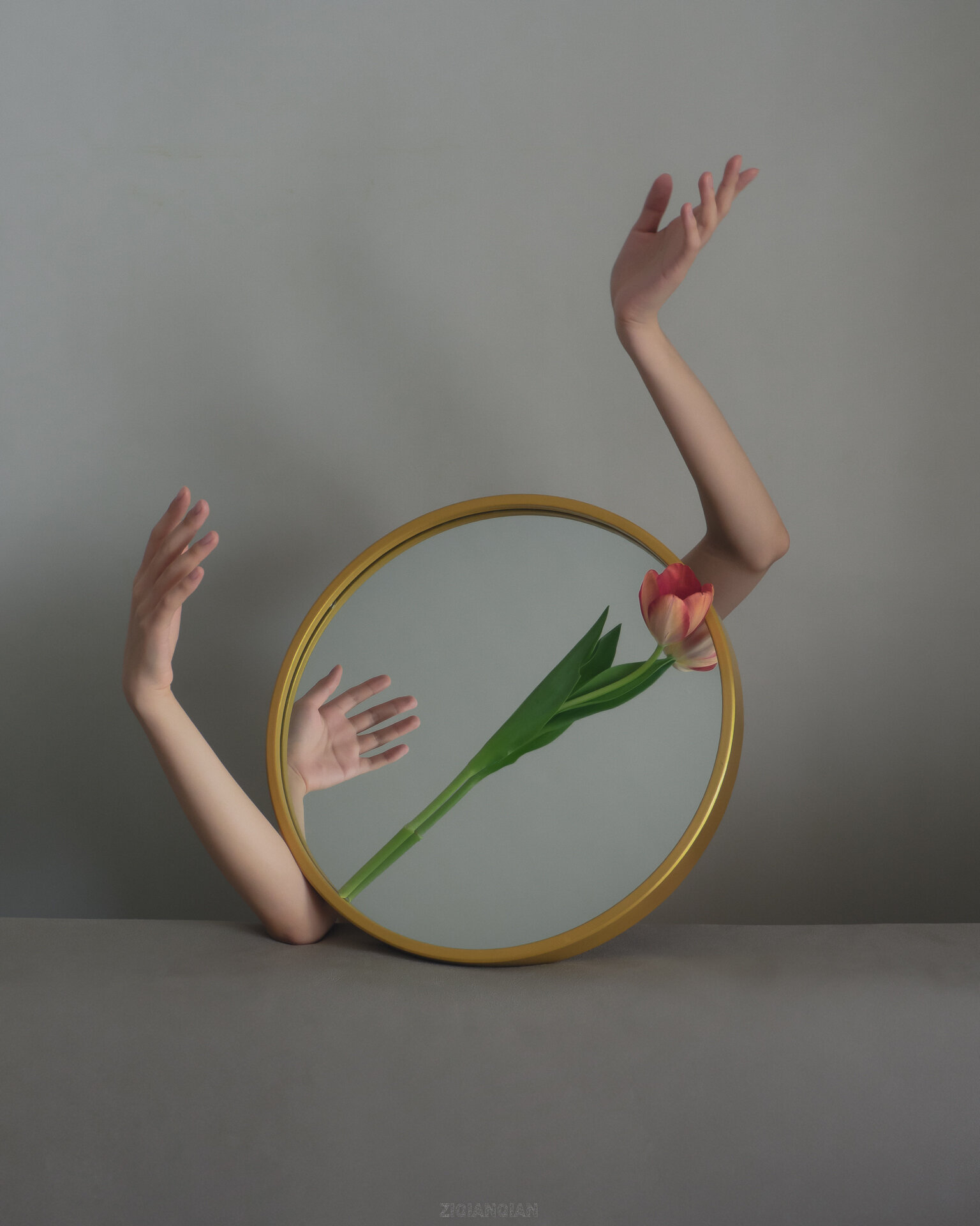 An art photograph where w a circular mirror has a tulip laying across it, and two arms come out of either side, with one hand reflected in the mirror. It looks slightly broken and mournful, but lovely.