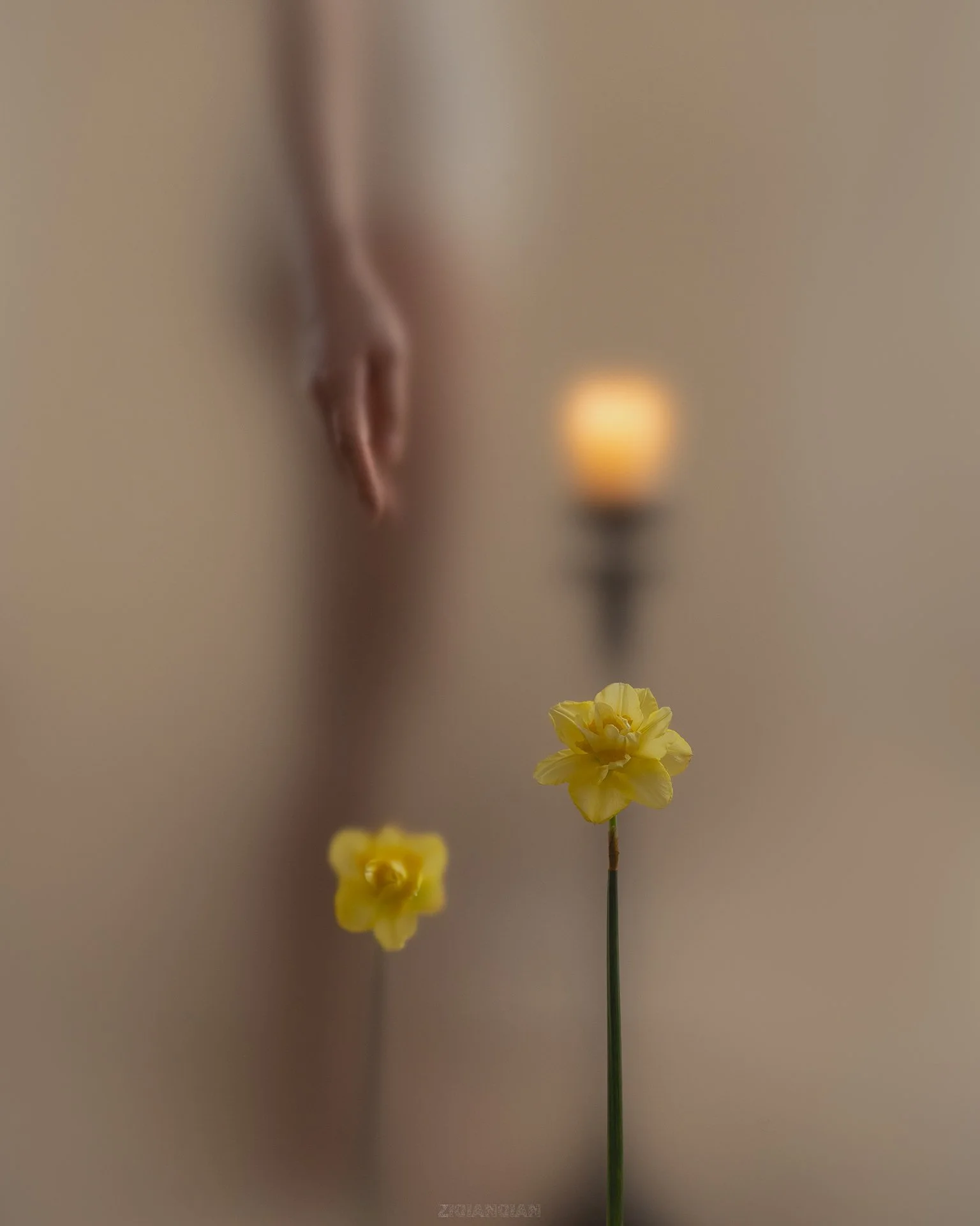 DSC03875-1920px.jpg