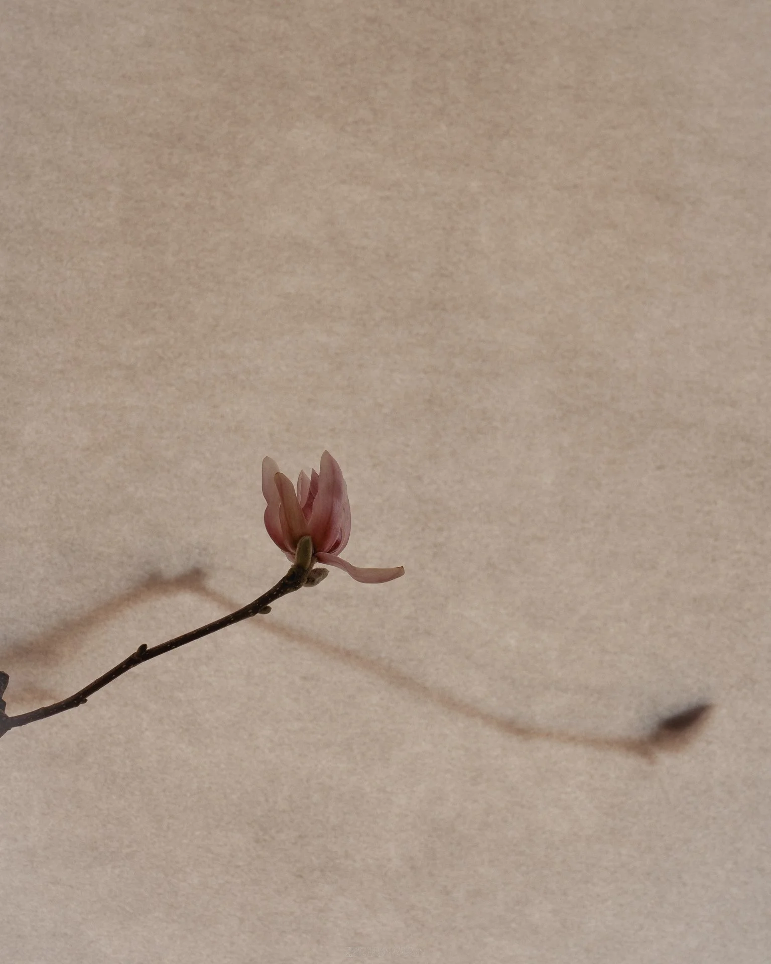 DSC03915-1920px.jpg