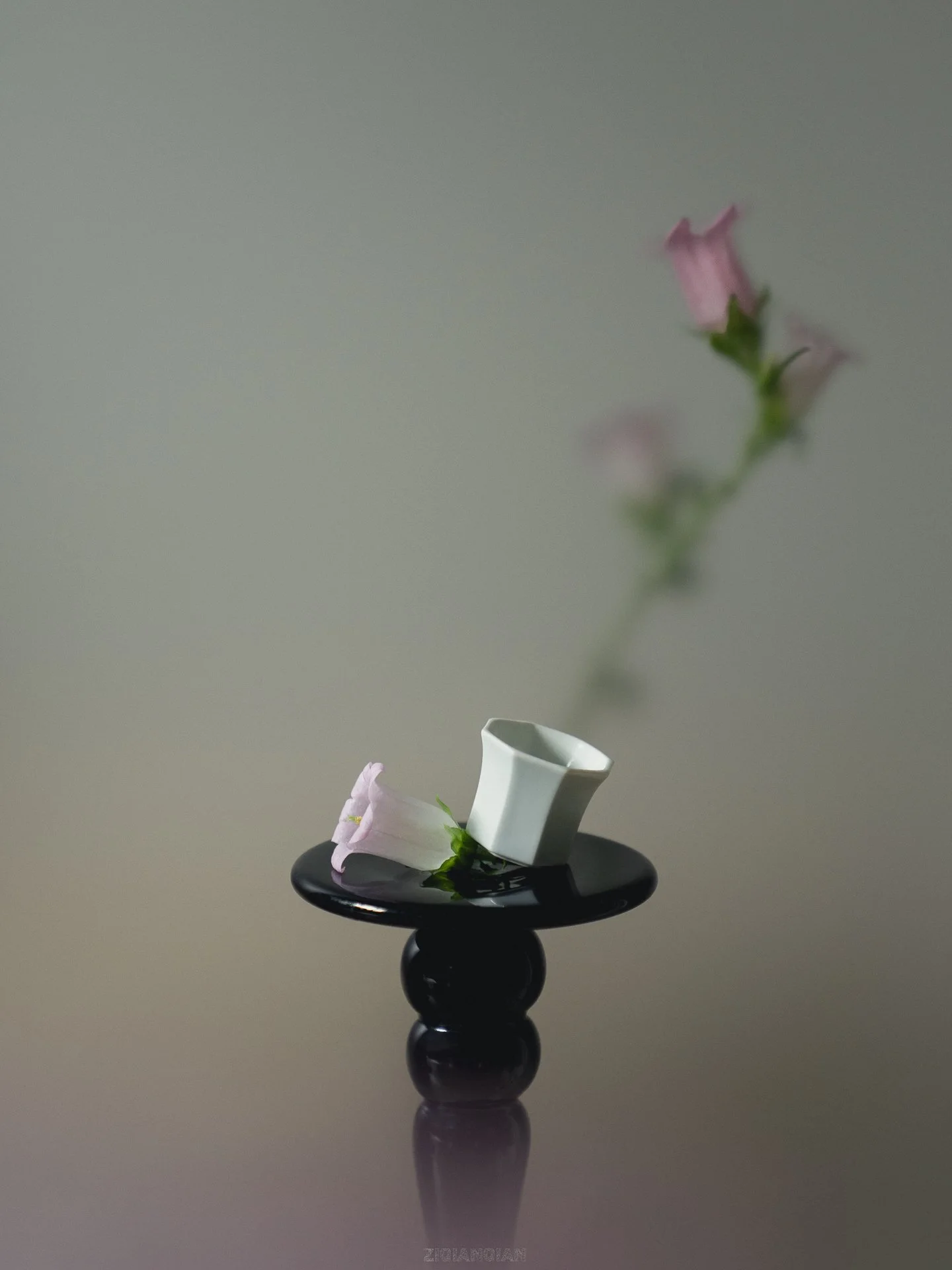DSC04272-1920px.jpg