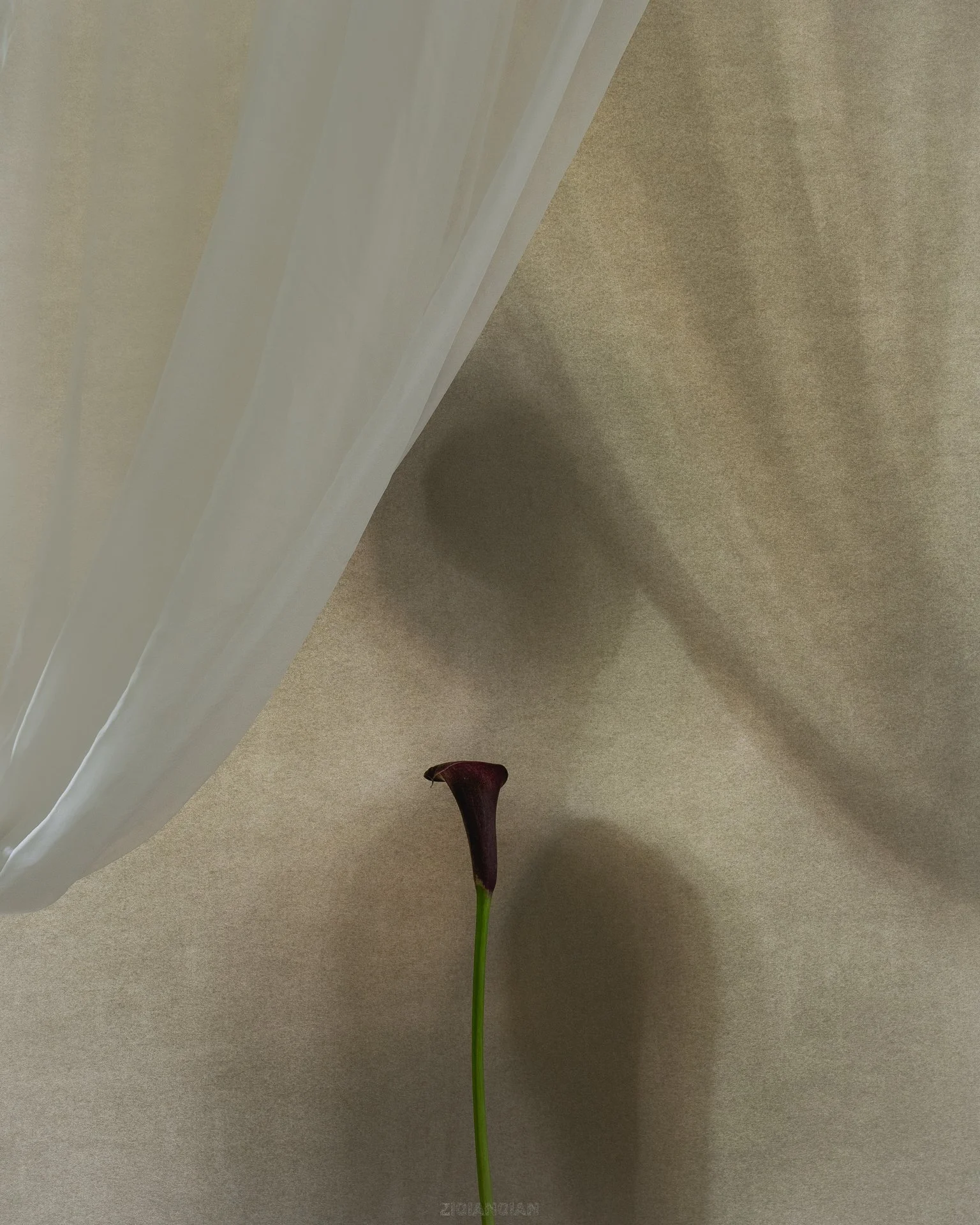 Look to the other side