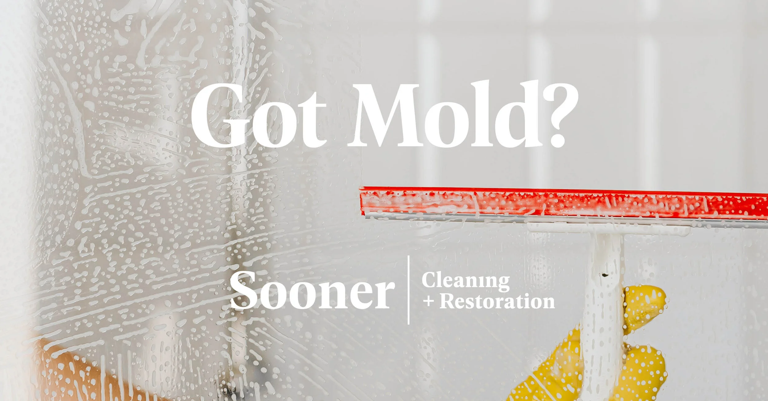 Got Mold?