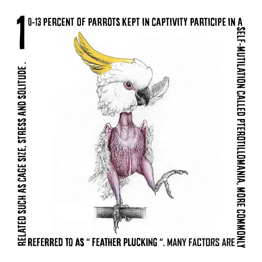 Zoochosis6.jpg