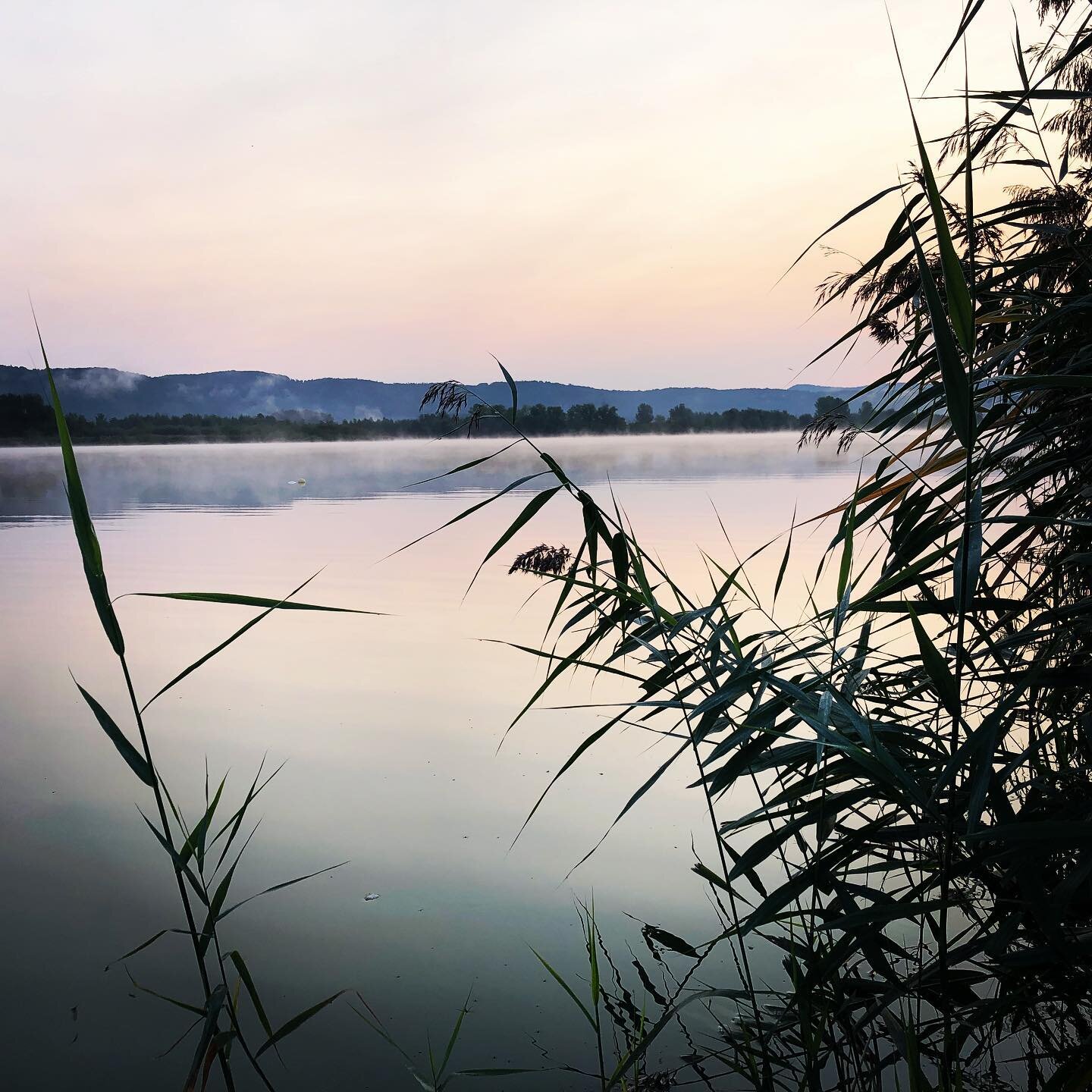 Sch&ouml;nes in Nordhessen, heute: Eschwege! ❤️🍀☀️ #see #lake #segeln #sailing #timberconstruction #fachwerk #hessen #werrameissnerkreis #eschwege #stadtumbau #familienstadt #nordhessen #naturephotography #nature #kuscheligesfachwerkst&auml;dtsche #