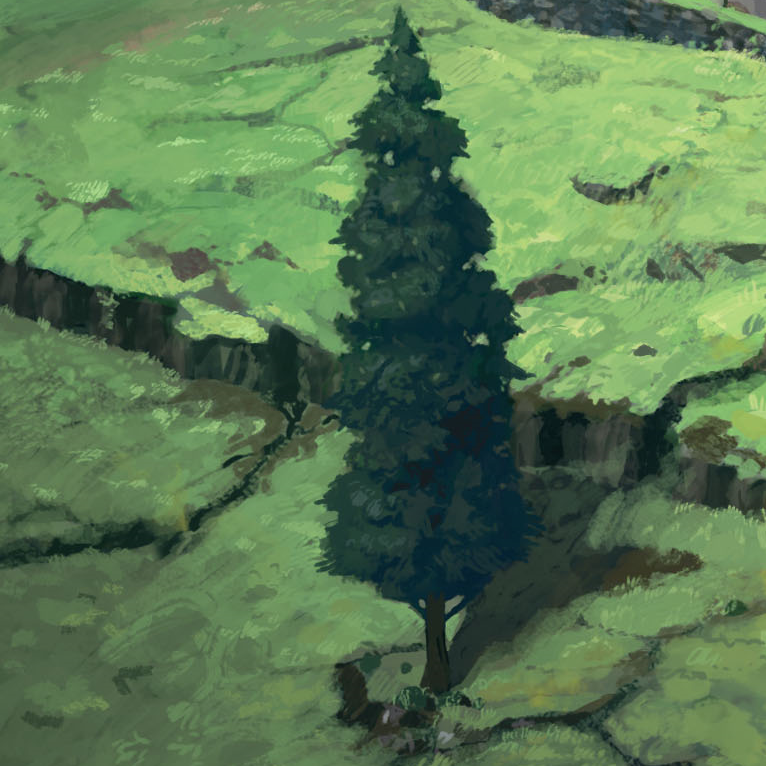 Community Newsletter June 17, 2022