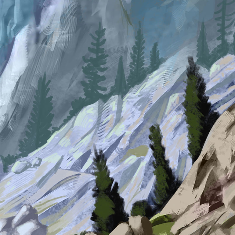 Community Newsletter November 15th, 2024